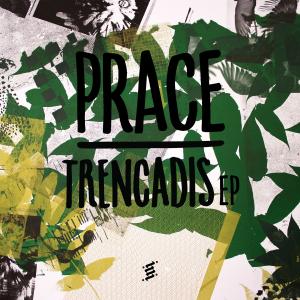 Cover image for Trencadis