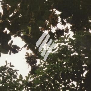 Cover image for Opus 1