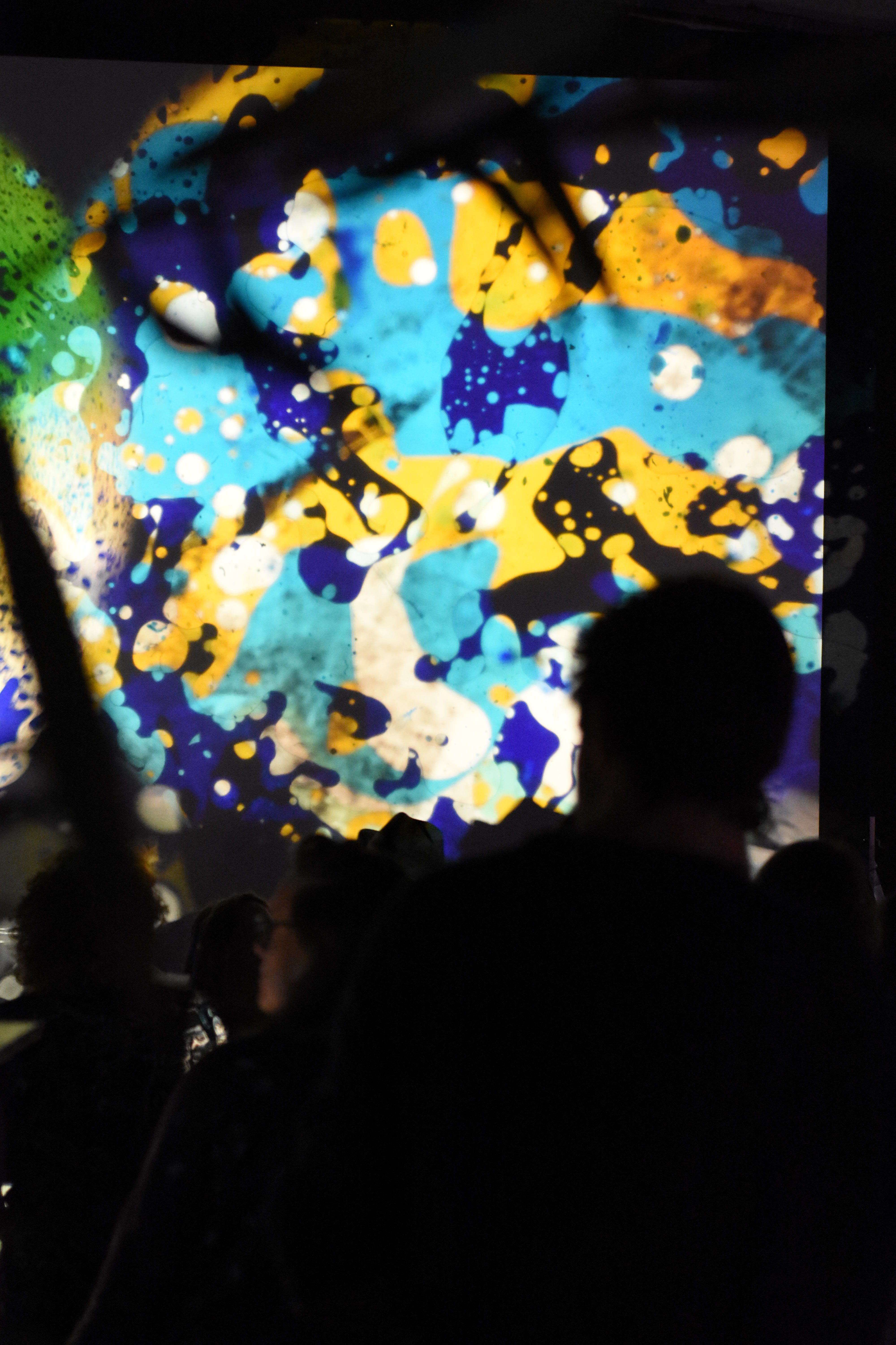 7c10e01d661c18590637fb025356cfd23677ce9d-4000x6000