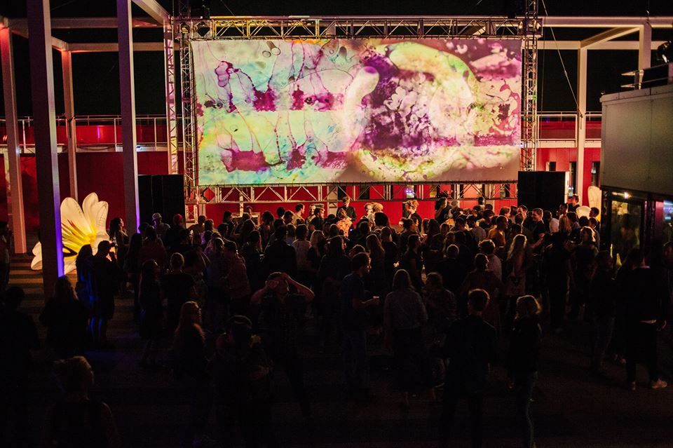 Cover image for Rooftopfissa