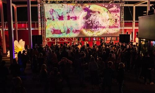 Cover image for Rooftopfissa