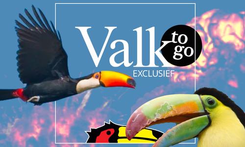 Cover image for Custom NarrowCasting