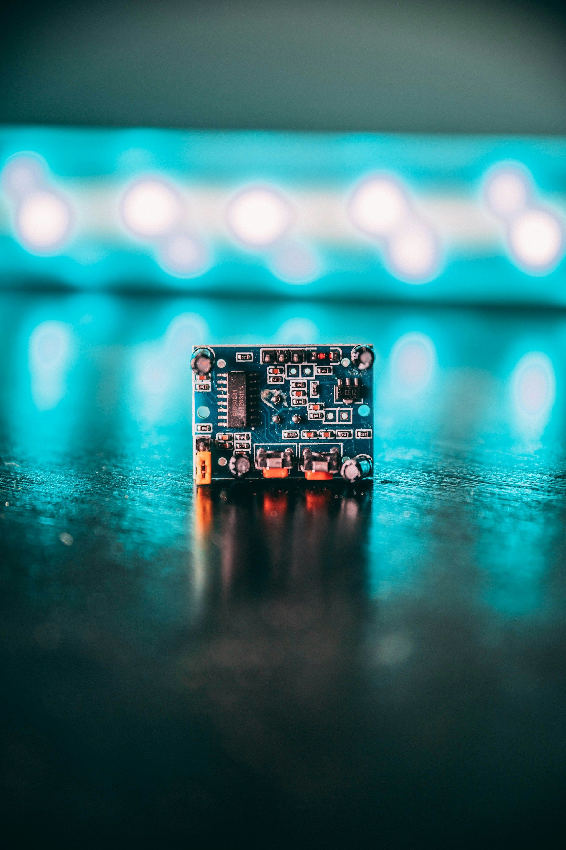 Creating Today, Investing in the Future