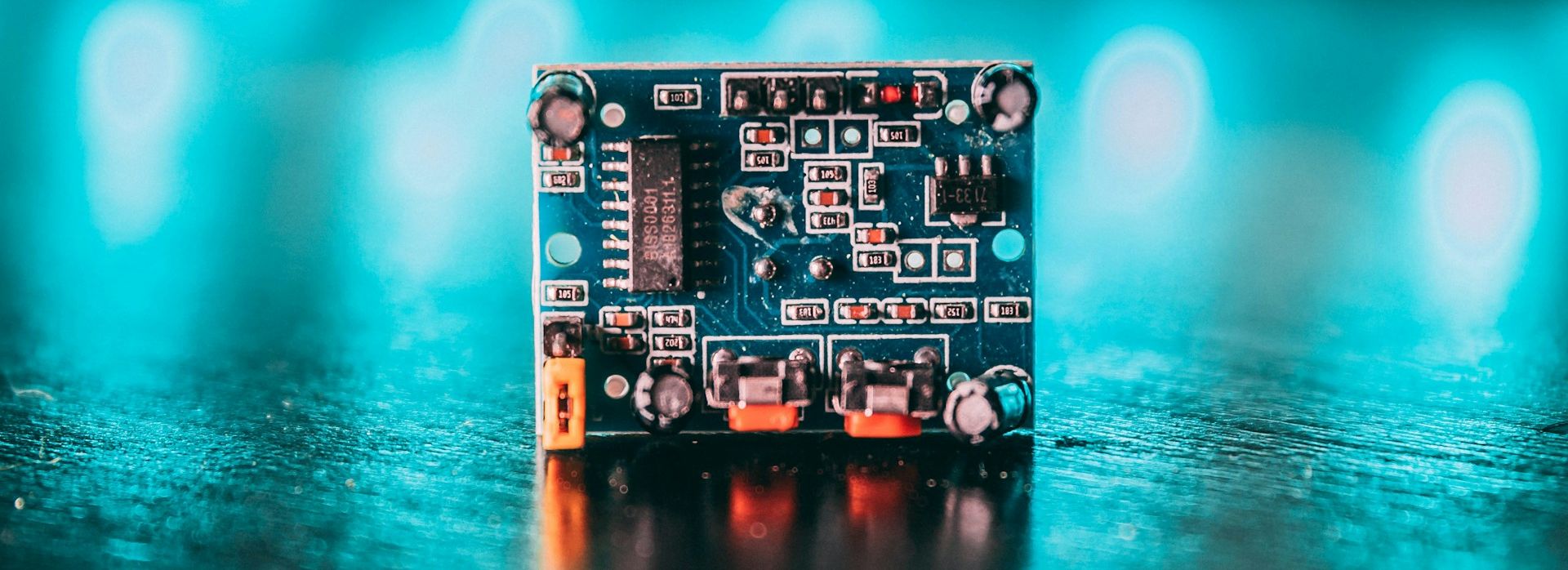 Creating Today, Investing in the Future