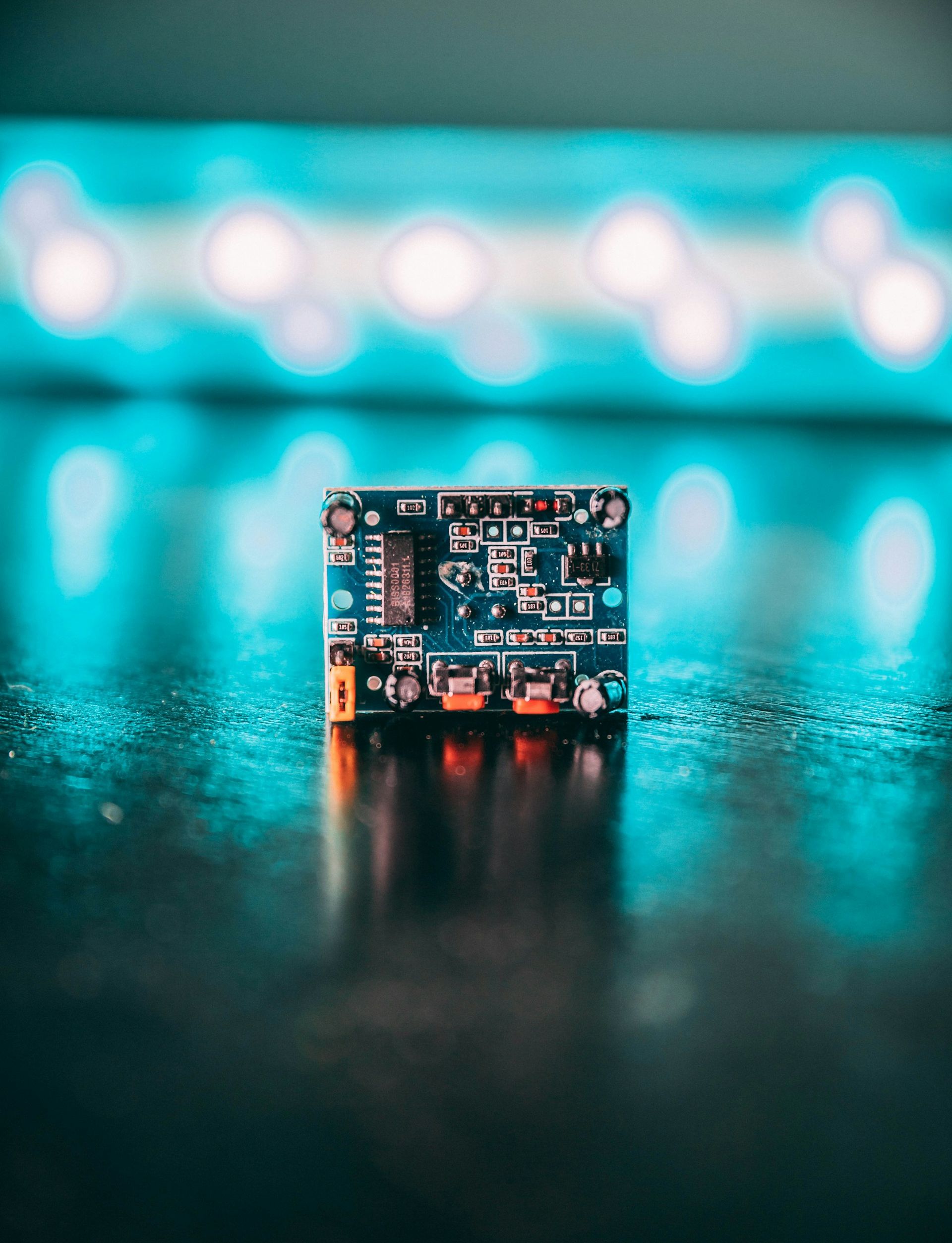 Creating Today, Investing in the Future