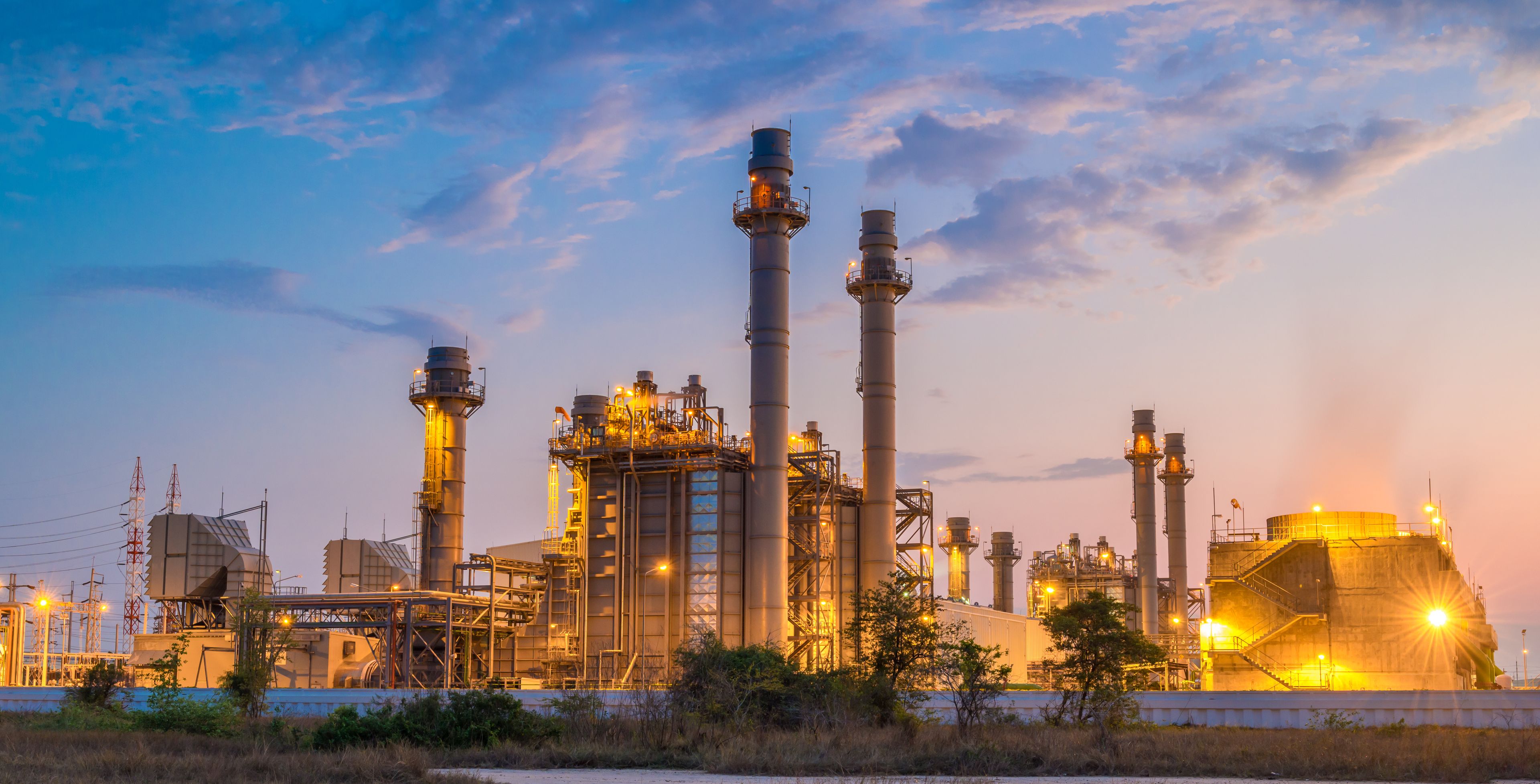 PMO Hive - Strategic Capacity Expansion for a Global Agrochemical Leader