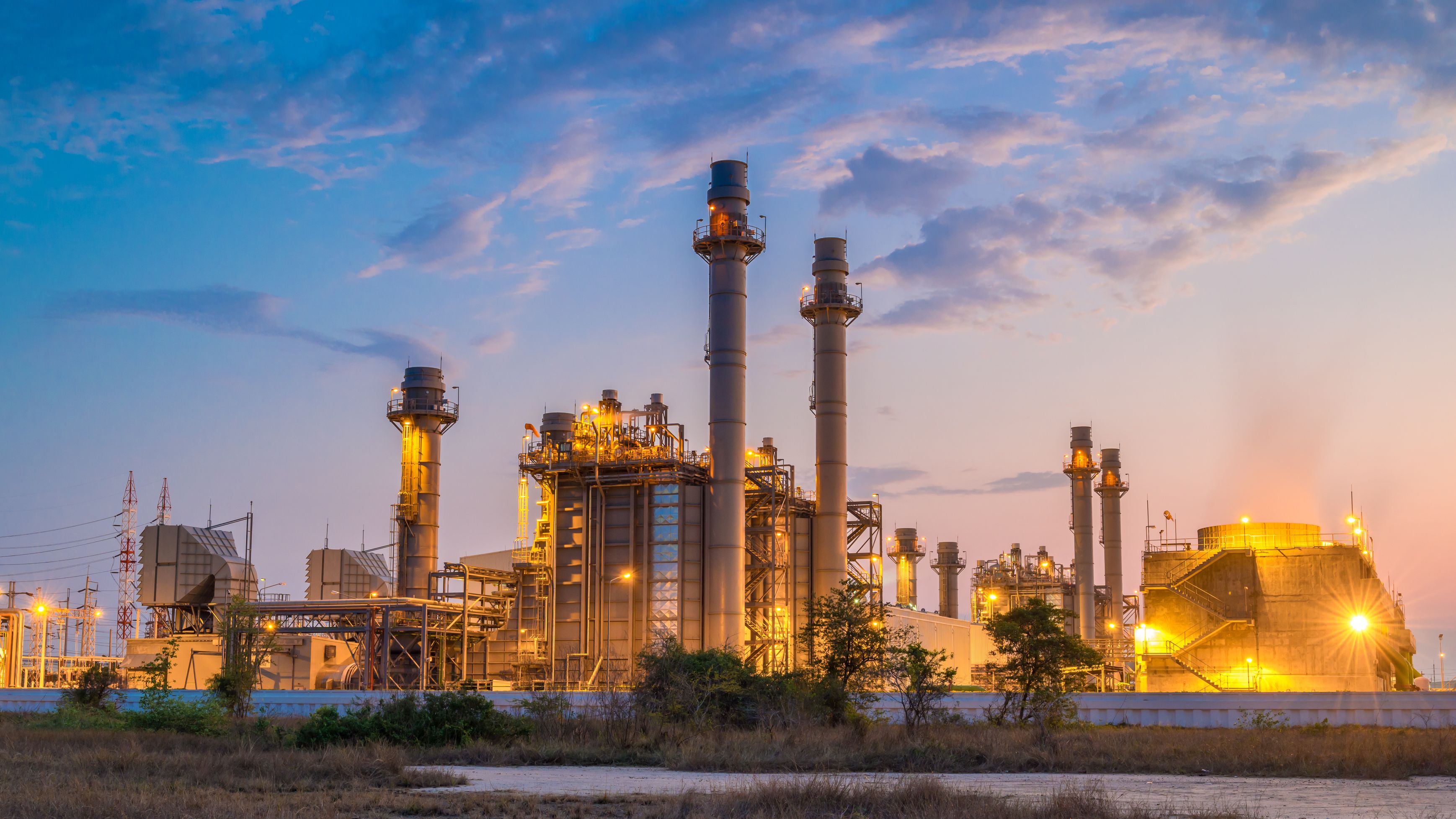 PMO Hive - Strategic Capacity Expansion for a Global Agrochemical Leader