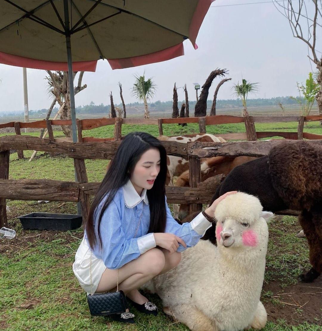 Cùng ngắm girl xinh Diệp Tố Oanh qua những bức ảnh đời thường quyến rũ và hấp dẫn