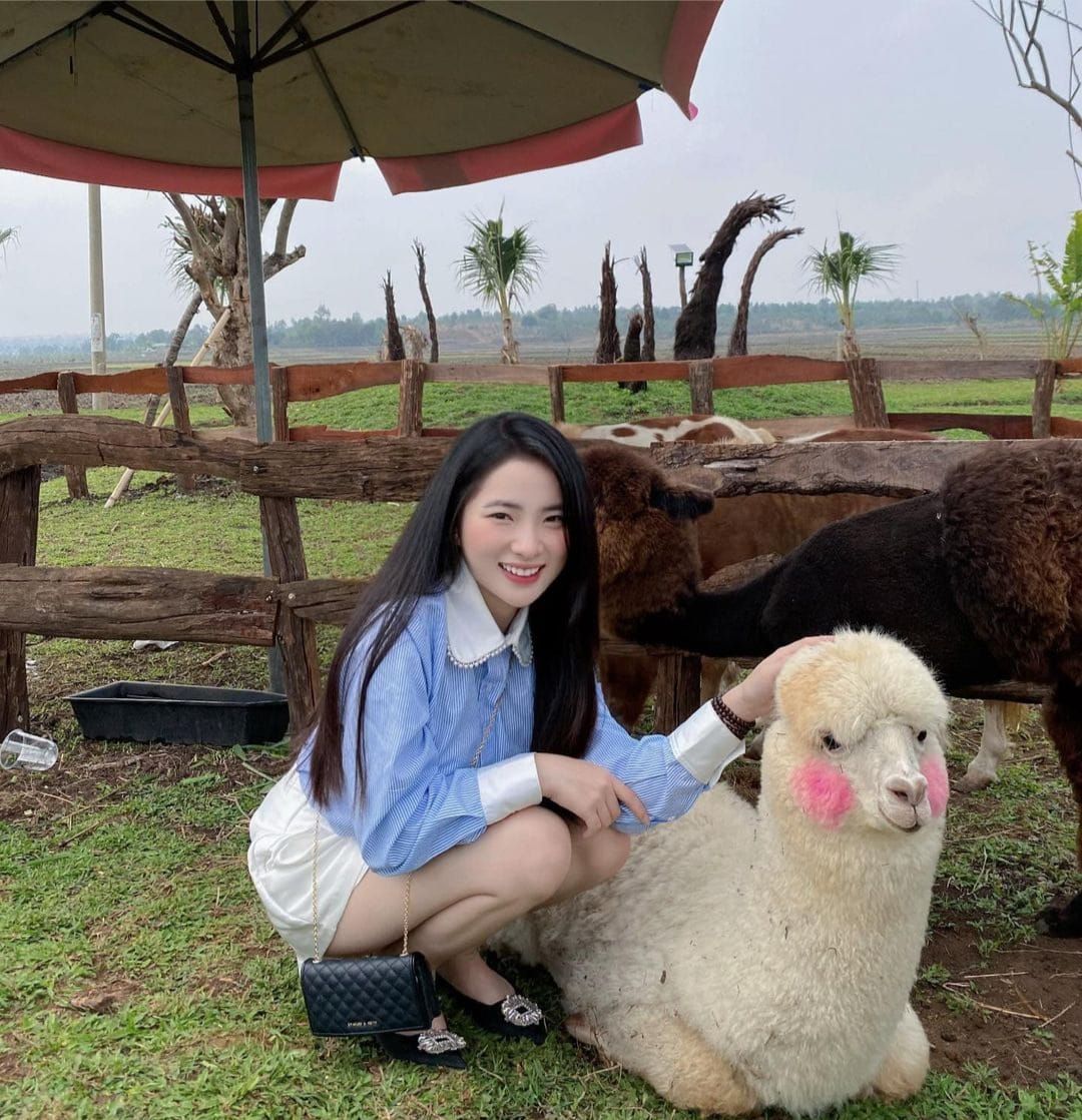 Cùng ngắm girl xinh Diệp Tố Oanh qua những bức ảnh đời thường quyến rũ và hấp dẫn