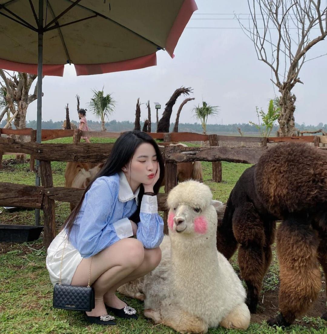 Cùng ngắm girl xinh Diệp Tố Oanh qua những bức ảnh đời thường quyến rũ và hấp dẫn