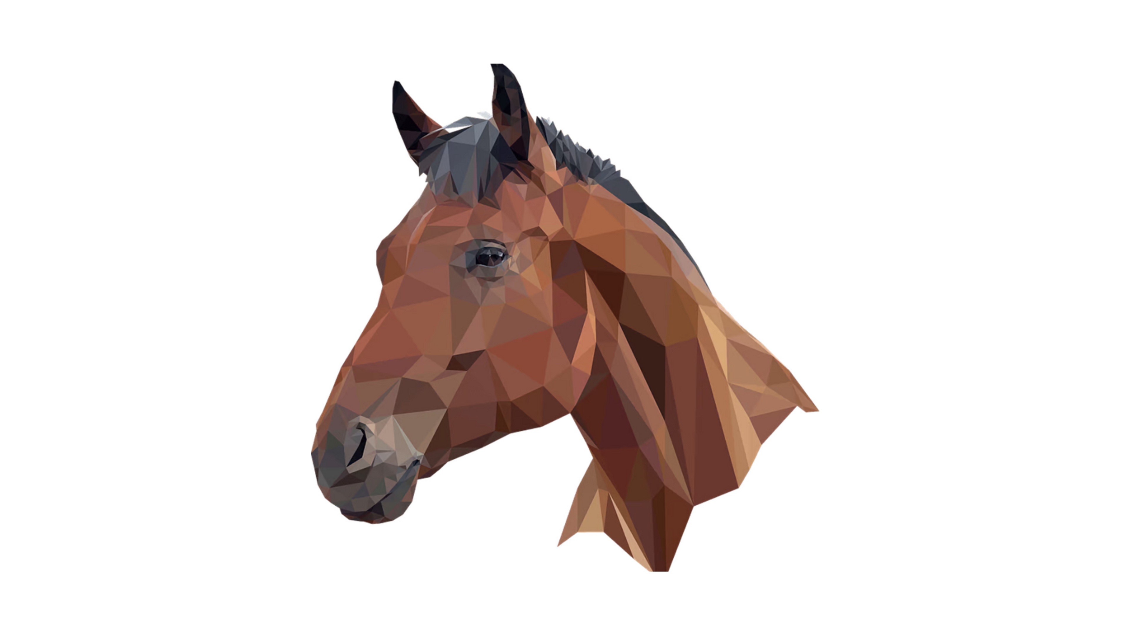 Horse Games Illustration