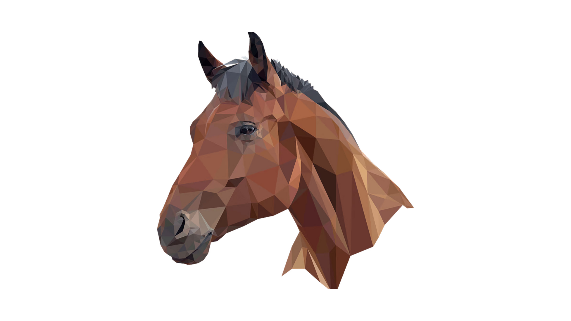 Horse Games Illustration Horse Games Illustration