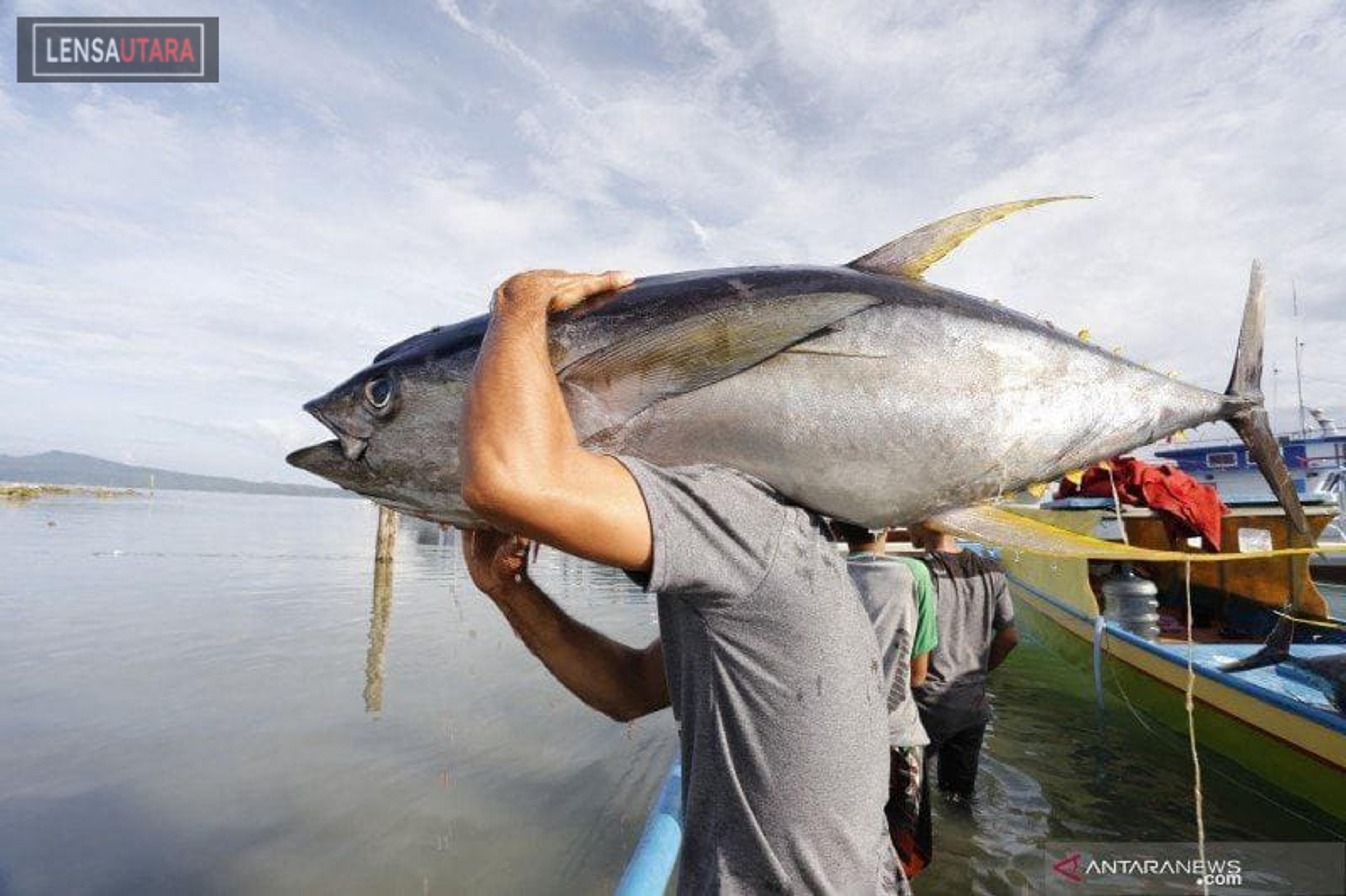 Pemprov Sulawesi Utara Penuhi Tiga Ton Kuota Kargo Penerbangan ke Jepang