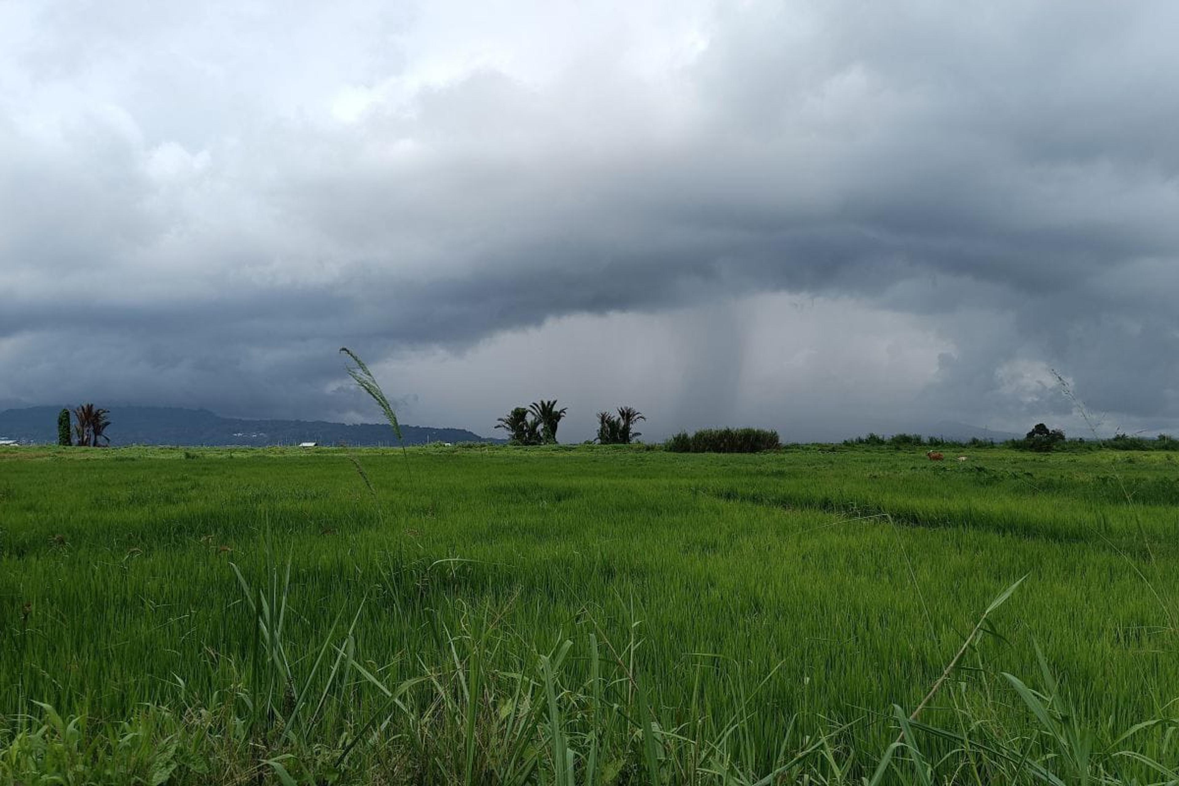 Bupati Minahasa Ingatkan Warga Waspadai Cuaca Ekstrem