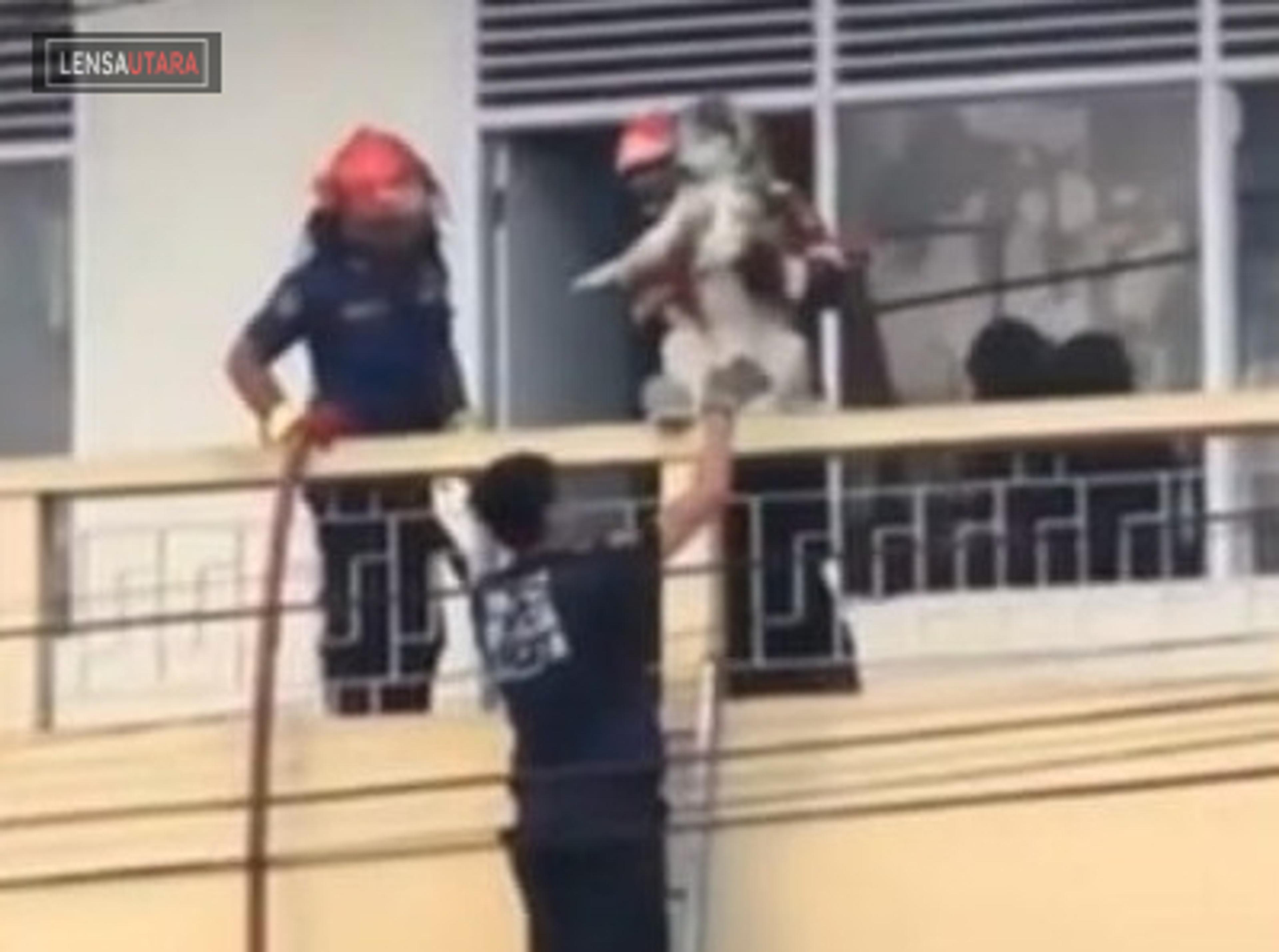 Aksi Heroik Petugas Damkar Menyelamatkan Anjing ditengah Kebakaran di Tondano