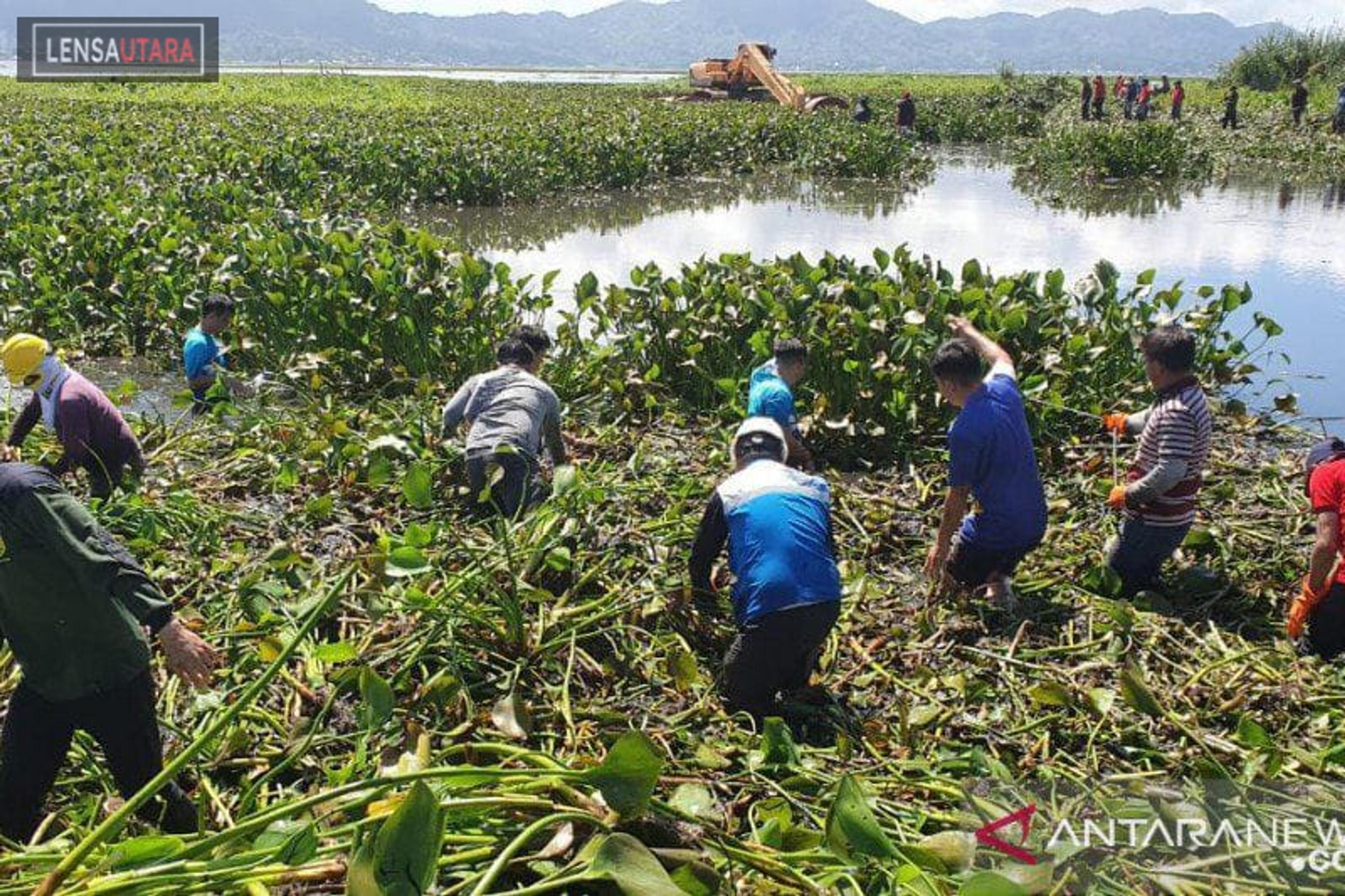 Danau Tondano Semakin Menyusut dan Dangkal