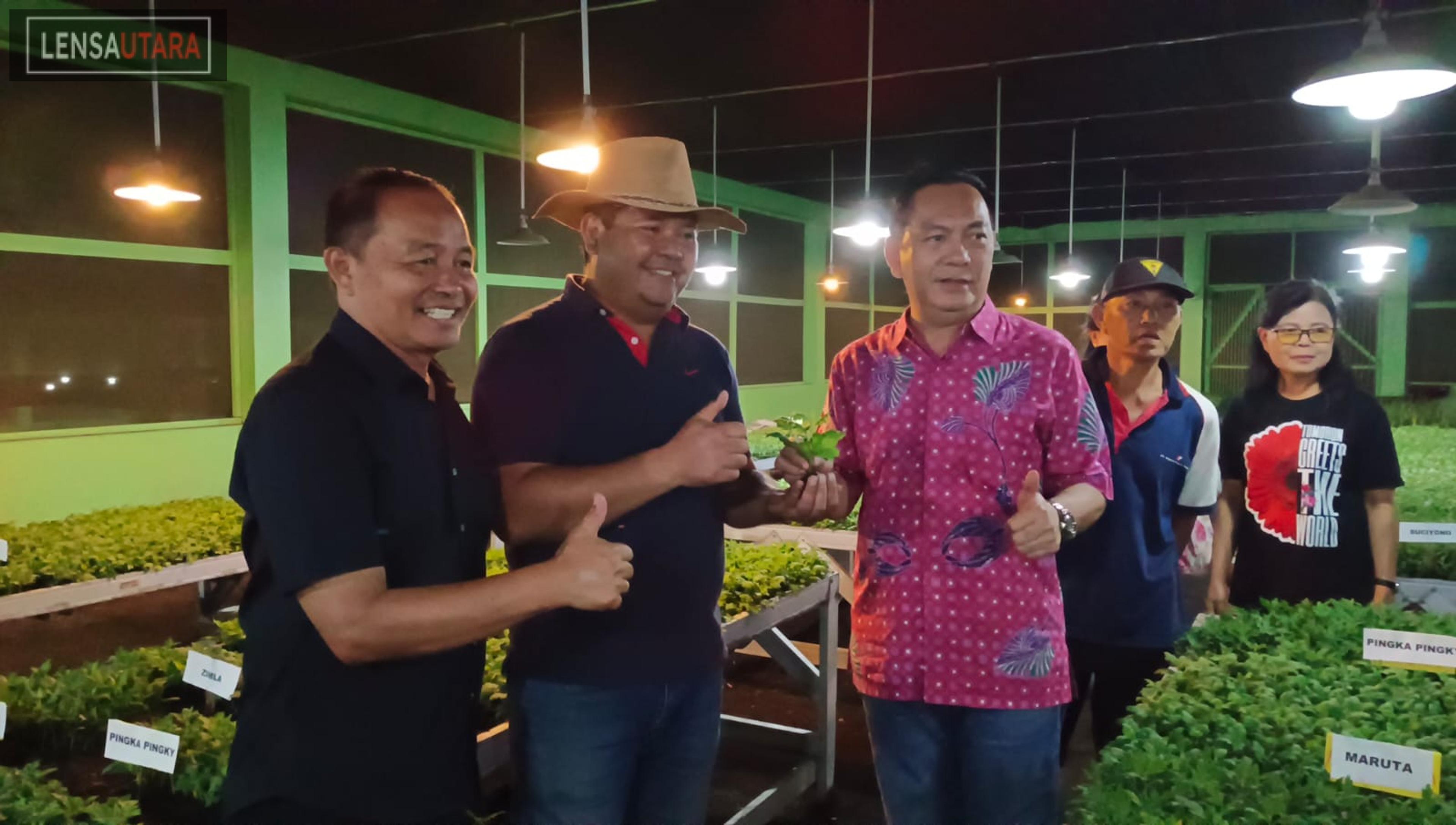 Cek Persiapan TIFF 2023, Caroll Senduk Lakukan Panen Perdana Bibit Bunga Krisan