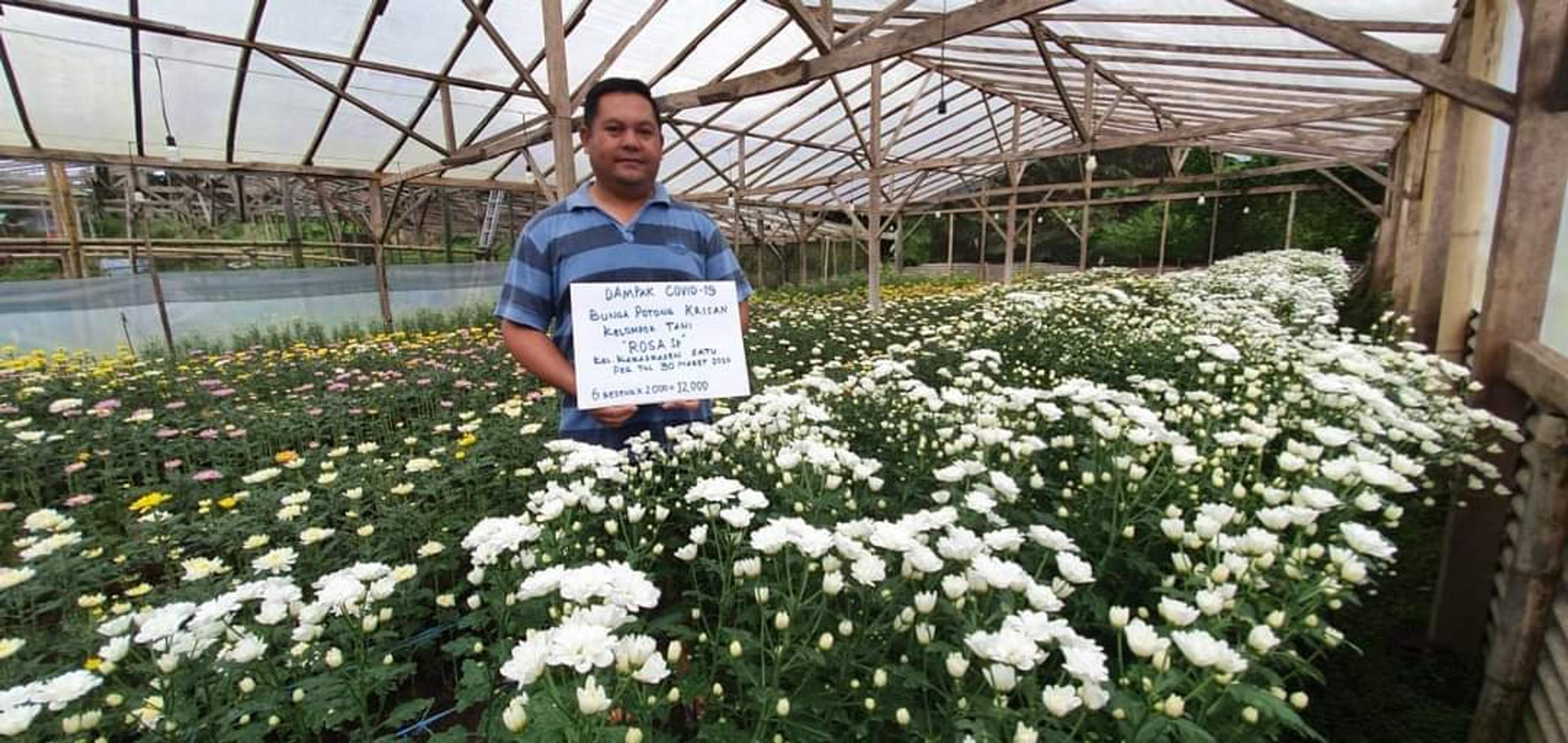 TIFF 2022 Diharapkan Bawa Dampak Ekonomi Bagi Masyarakat