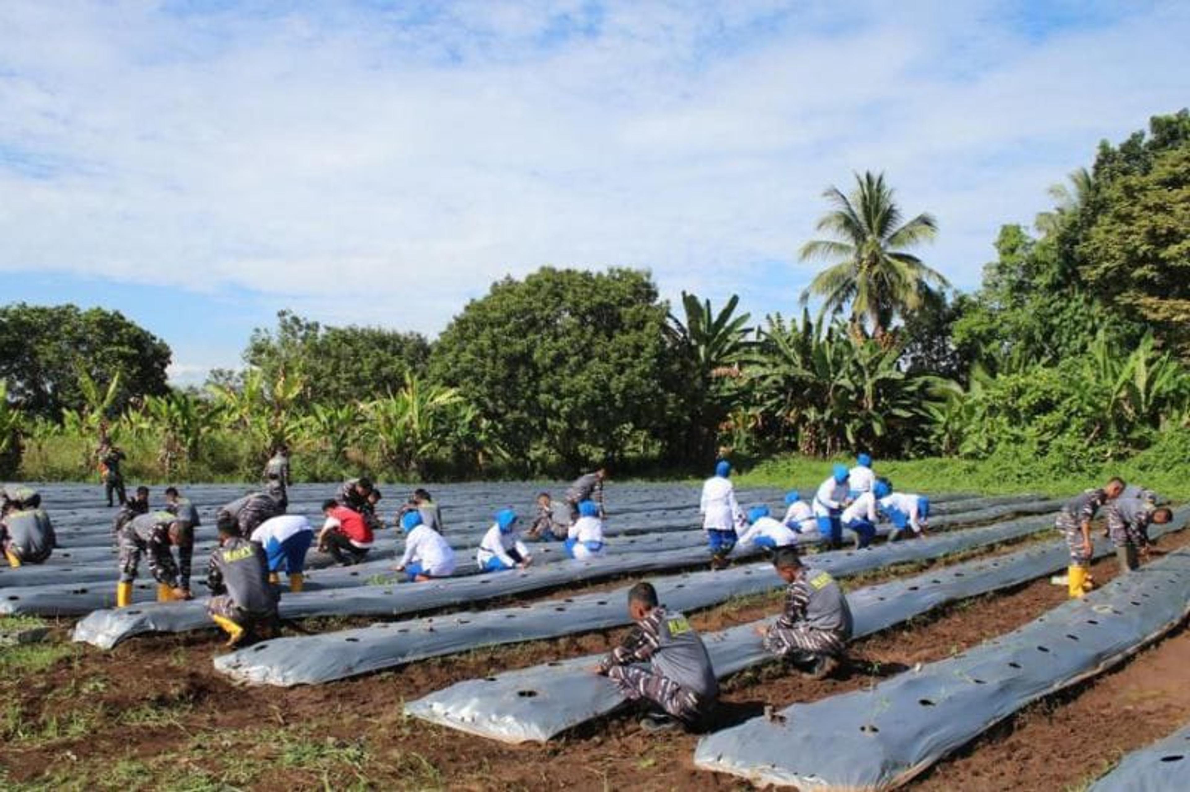 Dukung Program Pemerintah, Lanudal Manado Tanam 6 Komoditas