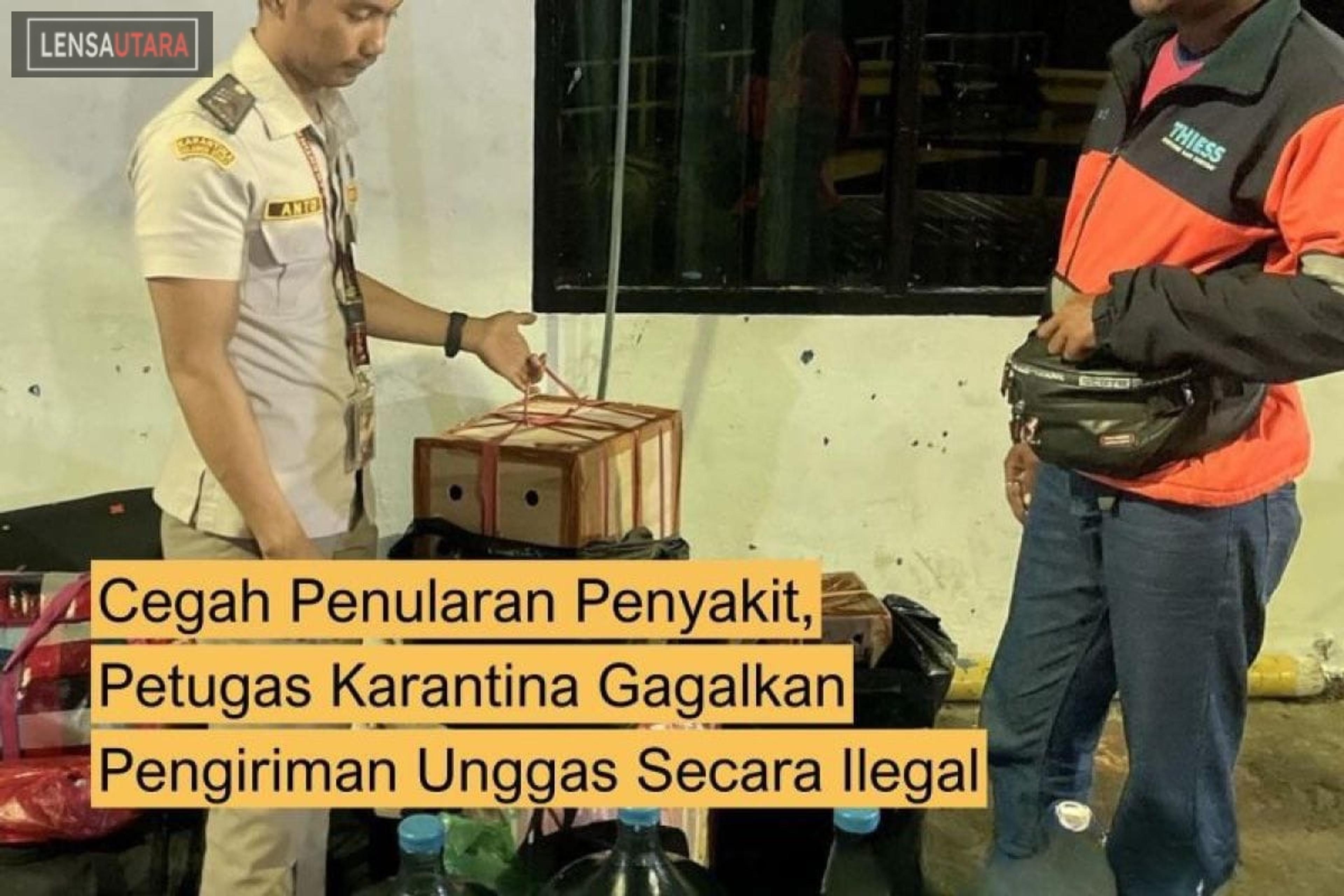 Balai Karantina Sulut Gagalkan Pengiriman Unggas Cegah Ancaman Penyakit