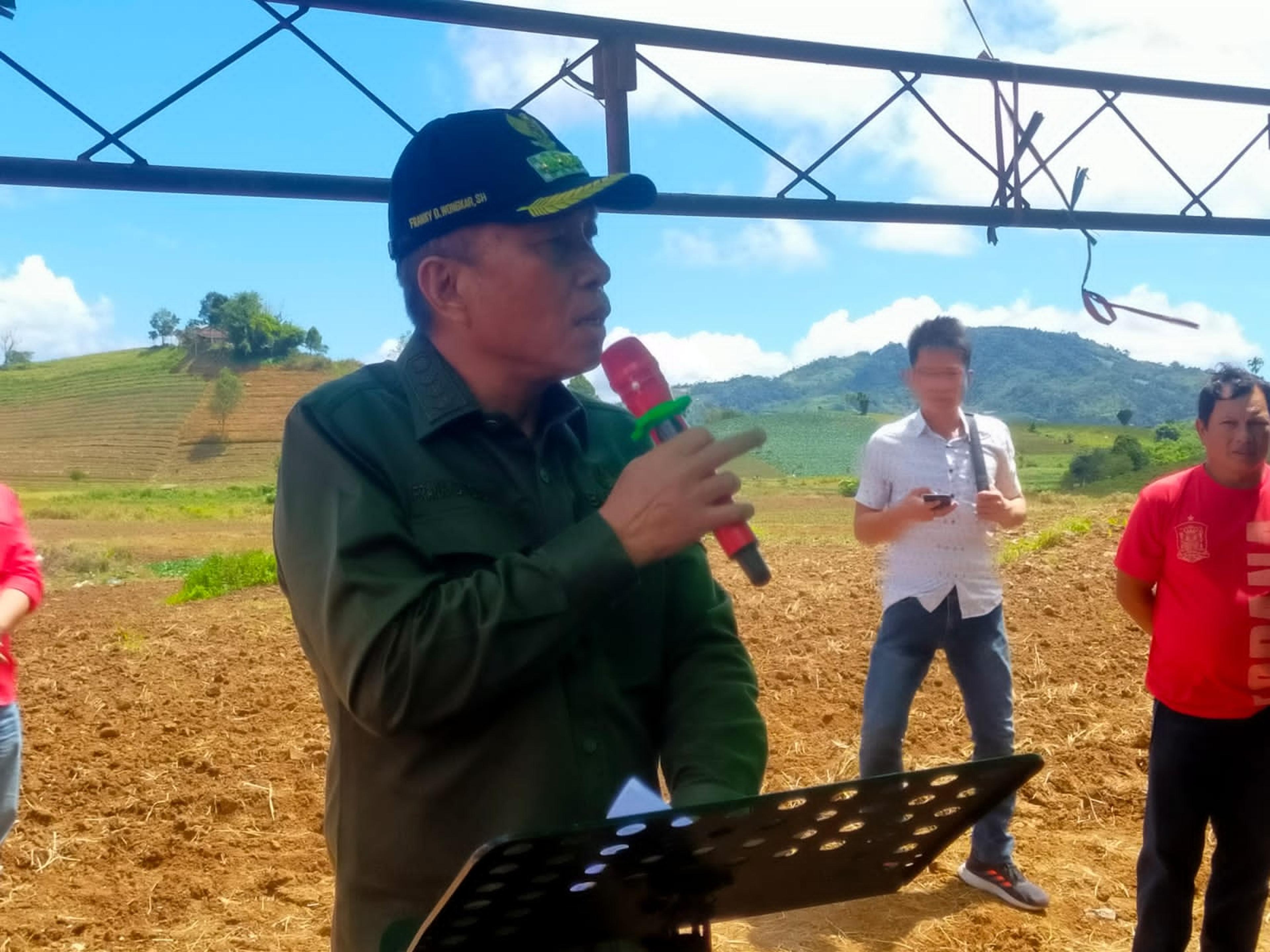 Bupati Franky Wongkar Tanam dan Panen Kentang Upland di Modoinding