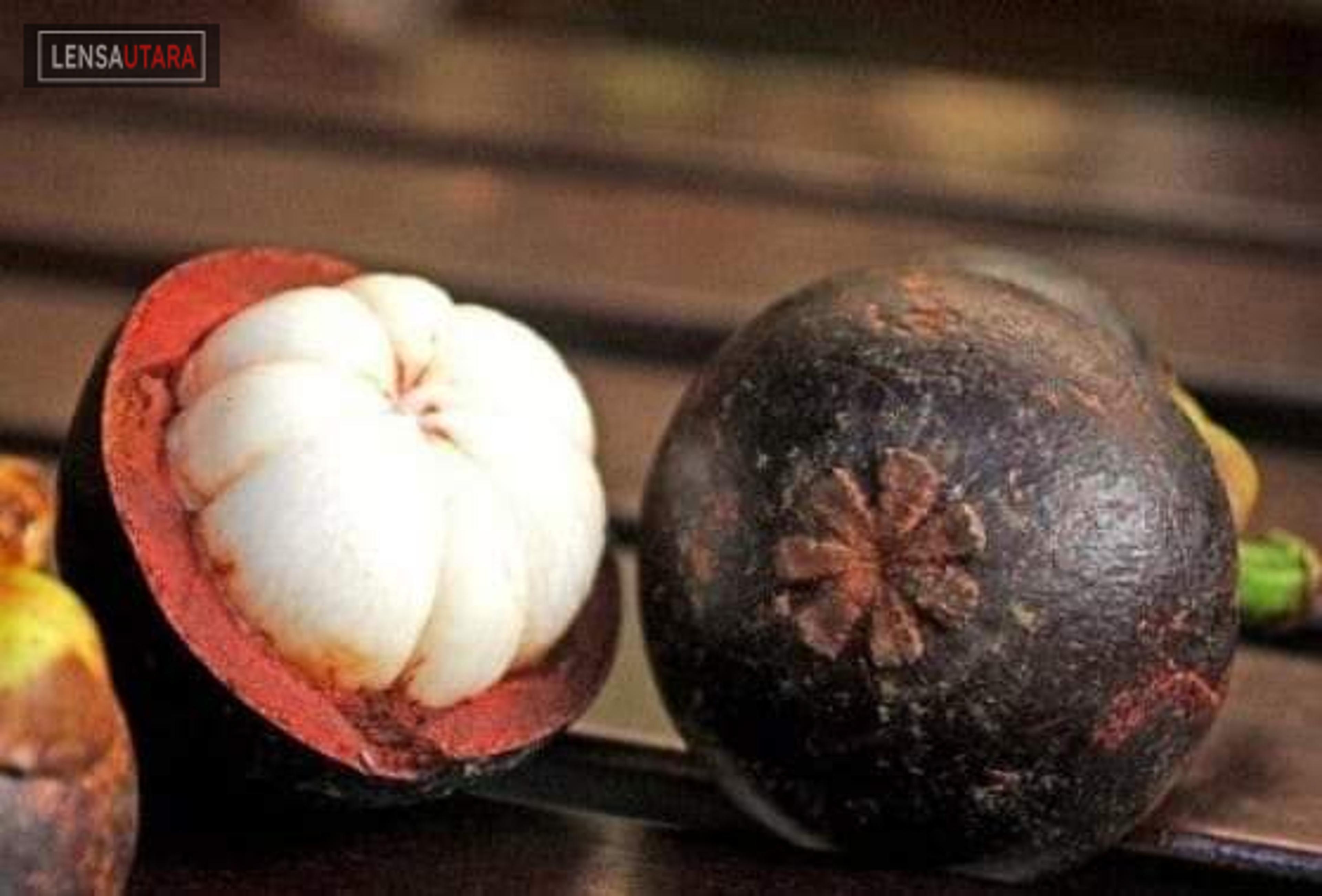 Bupati Minahasa: Belajarlah Kejujuran dari Buah Manggis