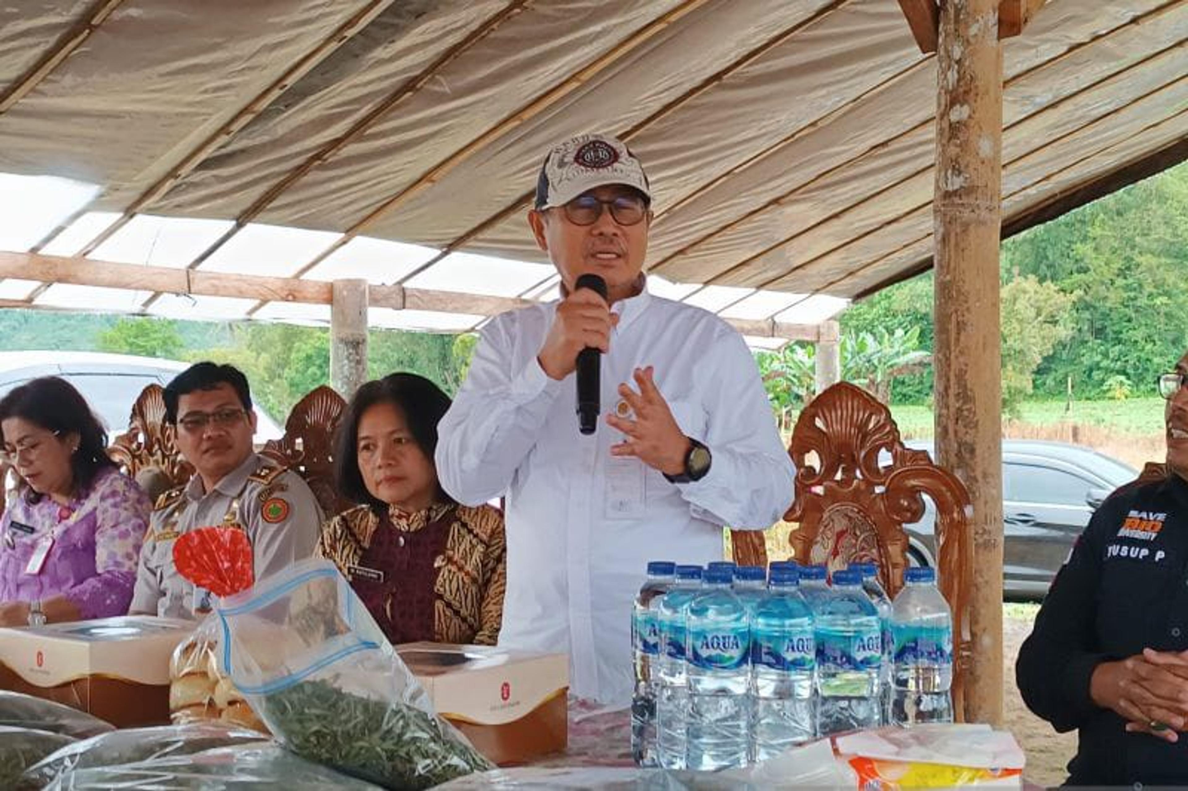 Tenaga Ahli Mentan: Minahasa Potensial Kembangkan Komoditi Stevia