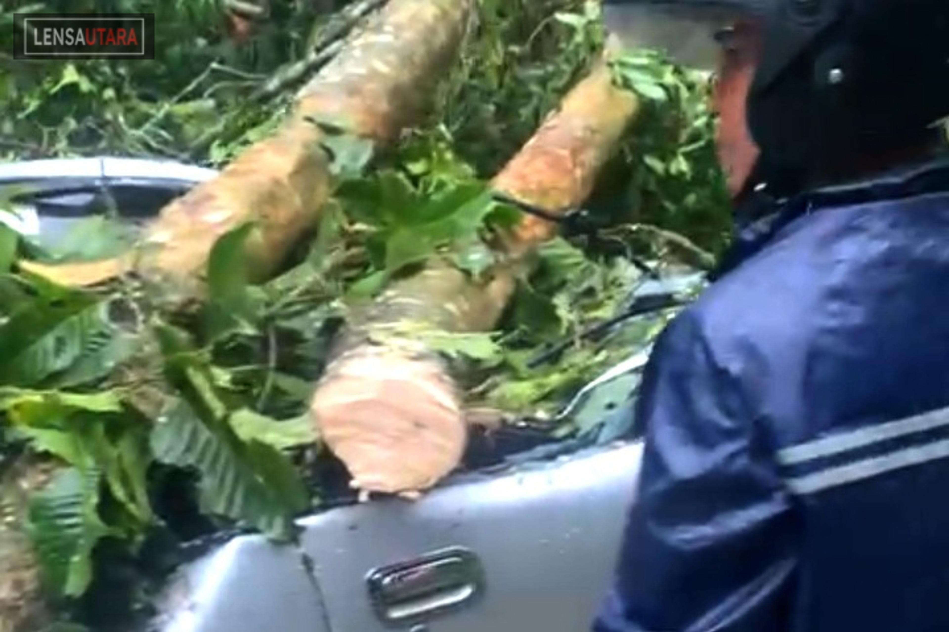 Akibat Angin Kencang, Sebuah Mobil Tertimpa Pohon Tumbang di Woloan