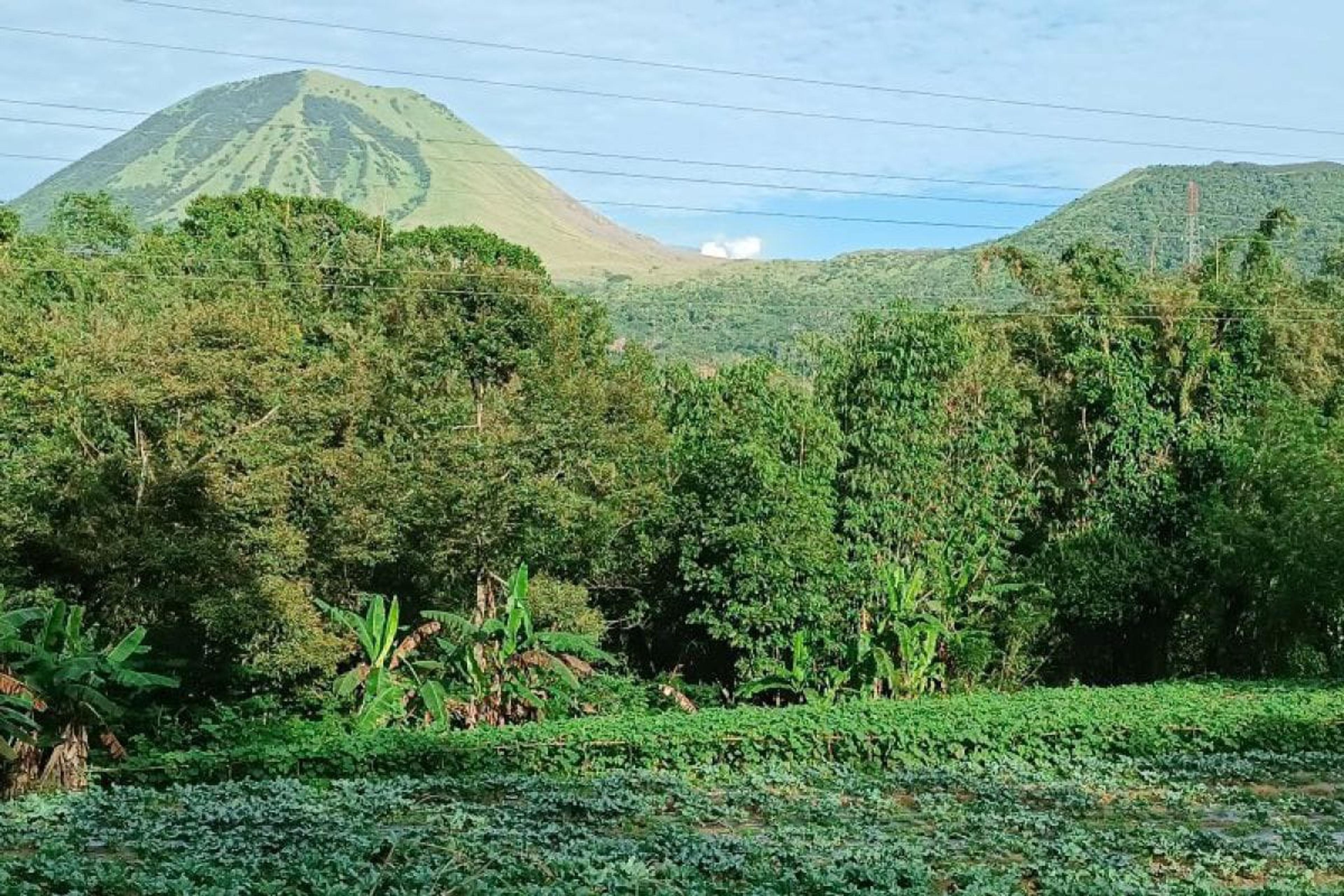 Pos PGA: Suhu Dasar Kawah Gunung Lokon Meningkat