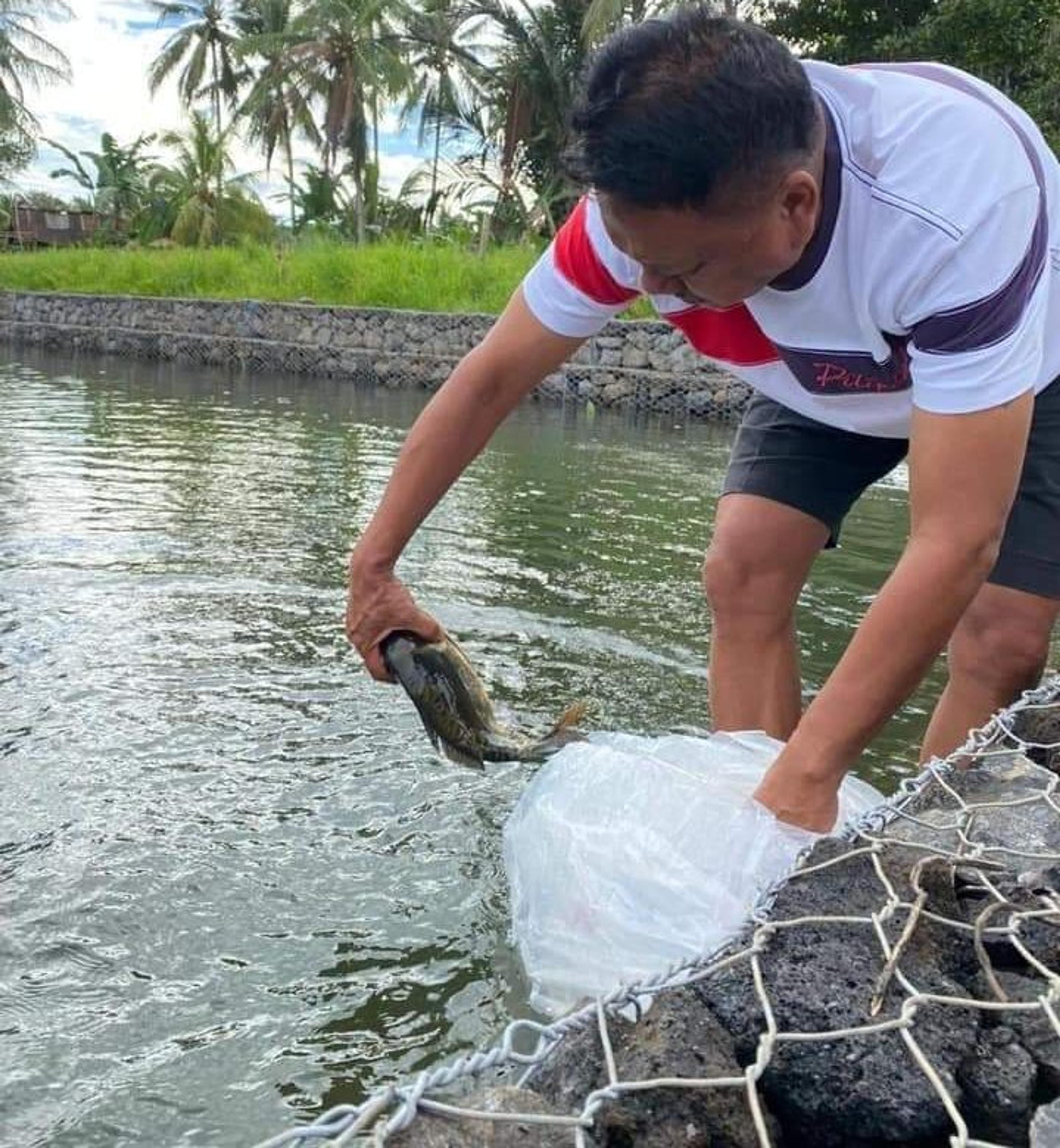 Ajakan Olly Dondokambey “Mari Jo Bakobong” Bukan Hanya Slogan