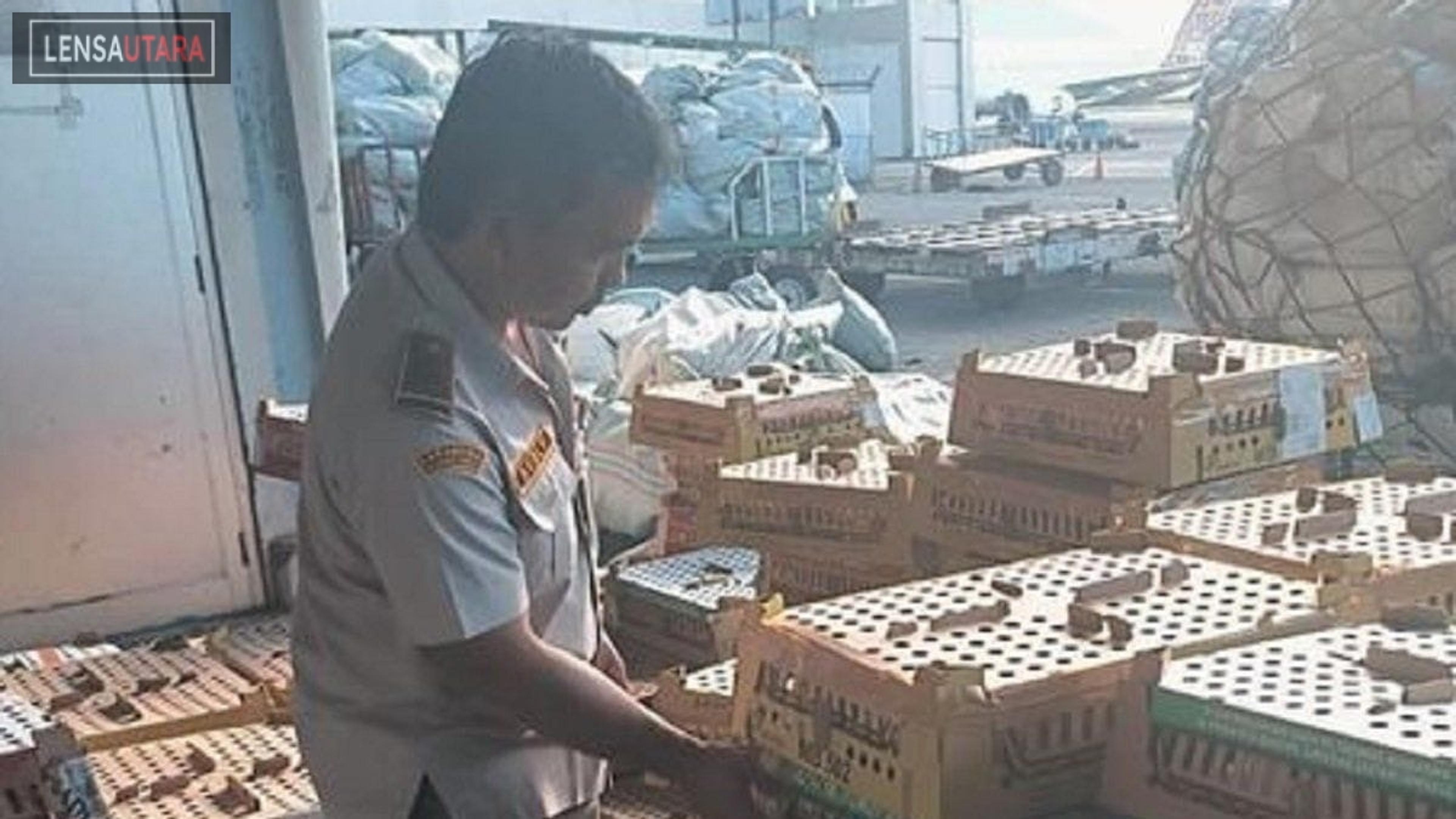 Balai Karantina Sulut Perketat Pemeriksaan DOC Cegah Penularan Avian Influenza