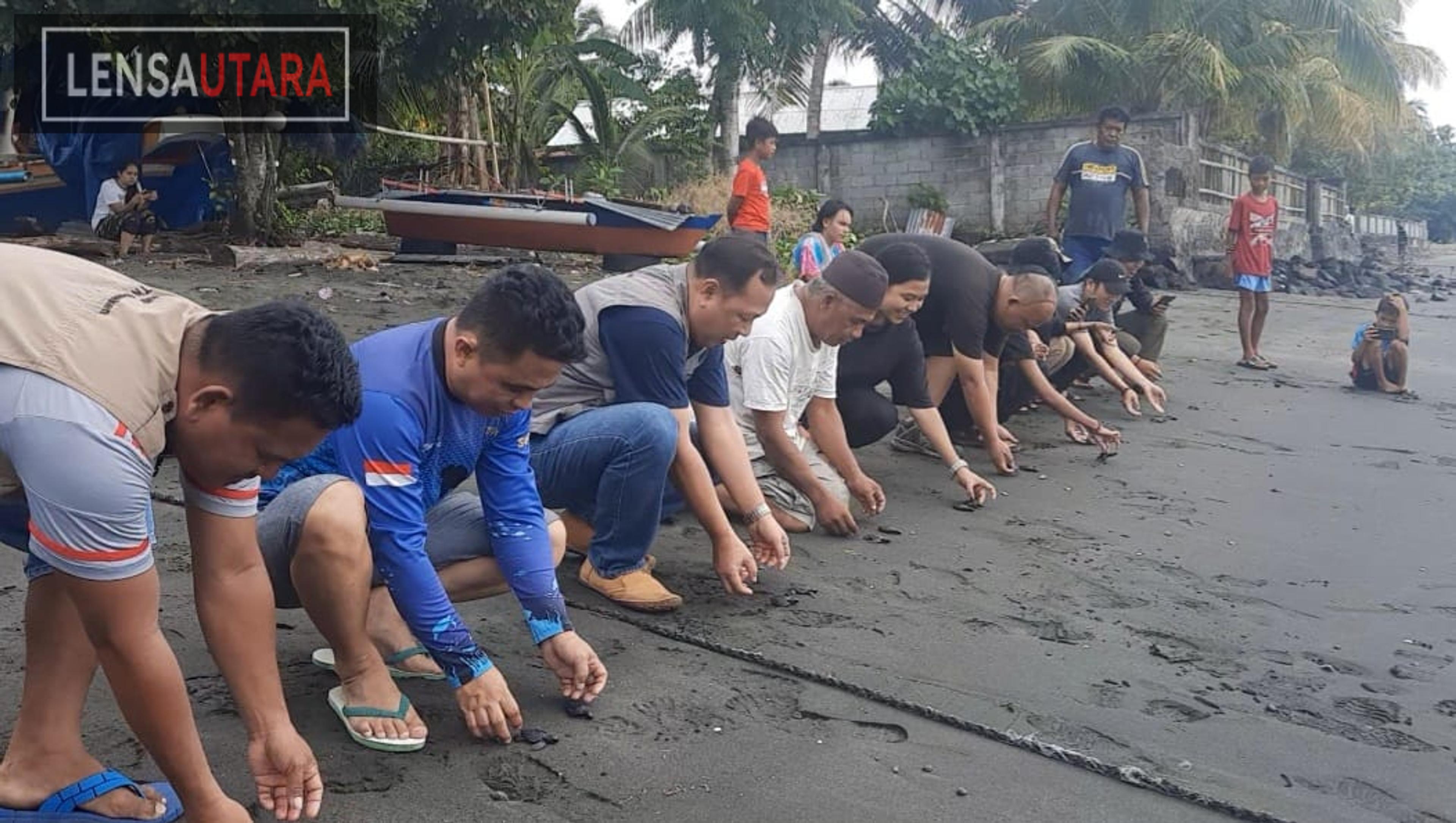 43 Tukik Penyu Lekang Dilepas ke Habitatnya