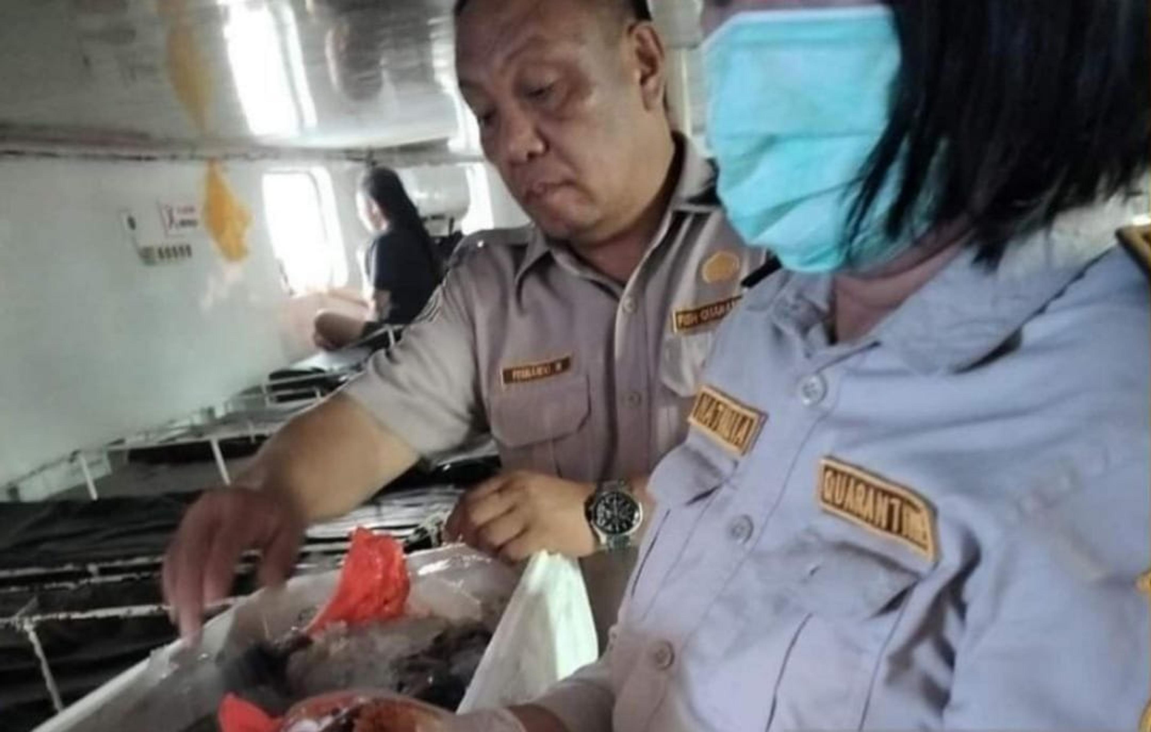 Karantina Sulut Musnahkan 15 ton Daging Ayam tak Layak Konsumsi
