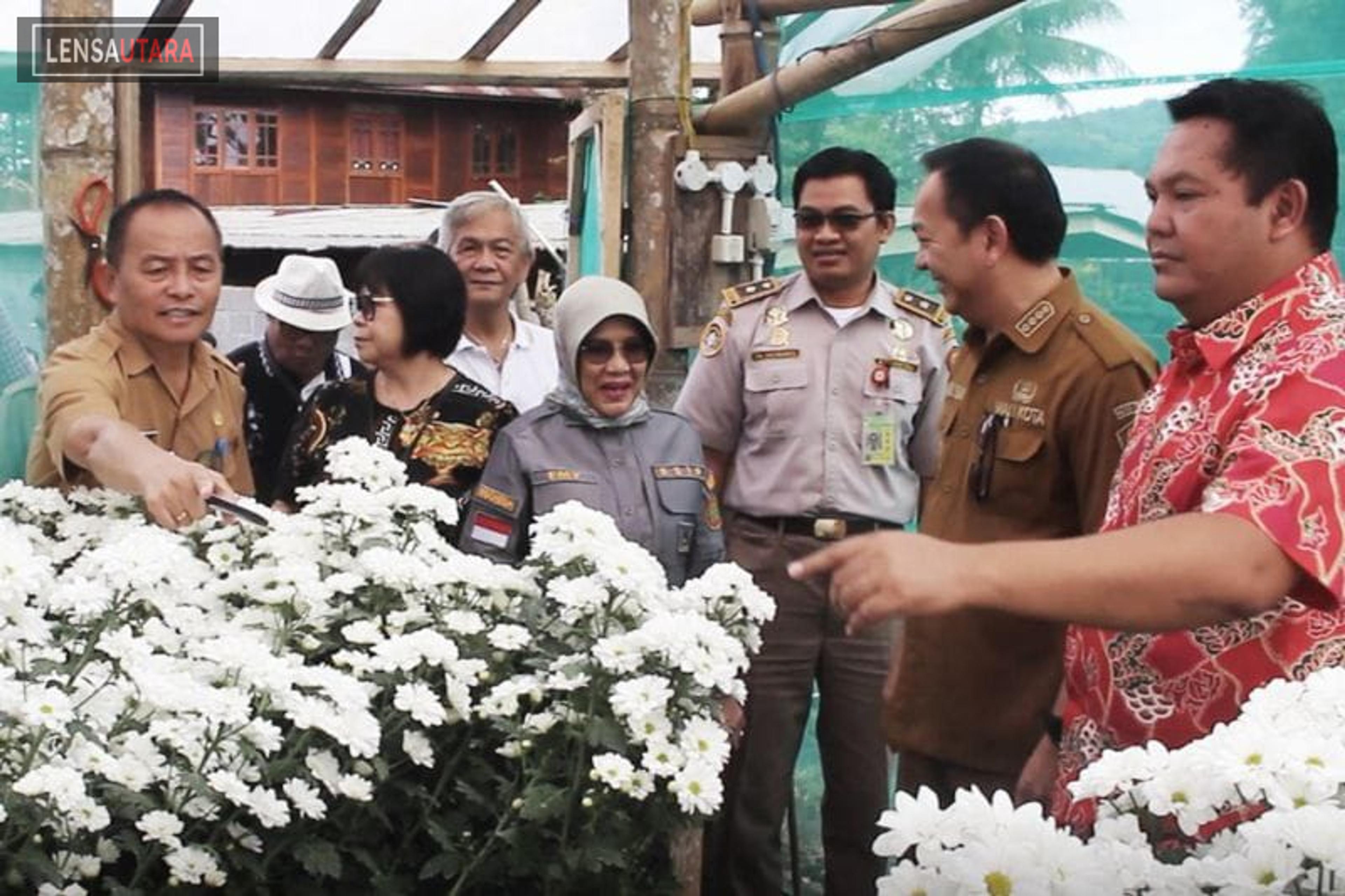 Singapura Import Bunga Krisan dari Kota Tomohon