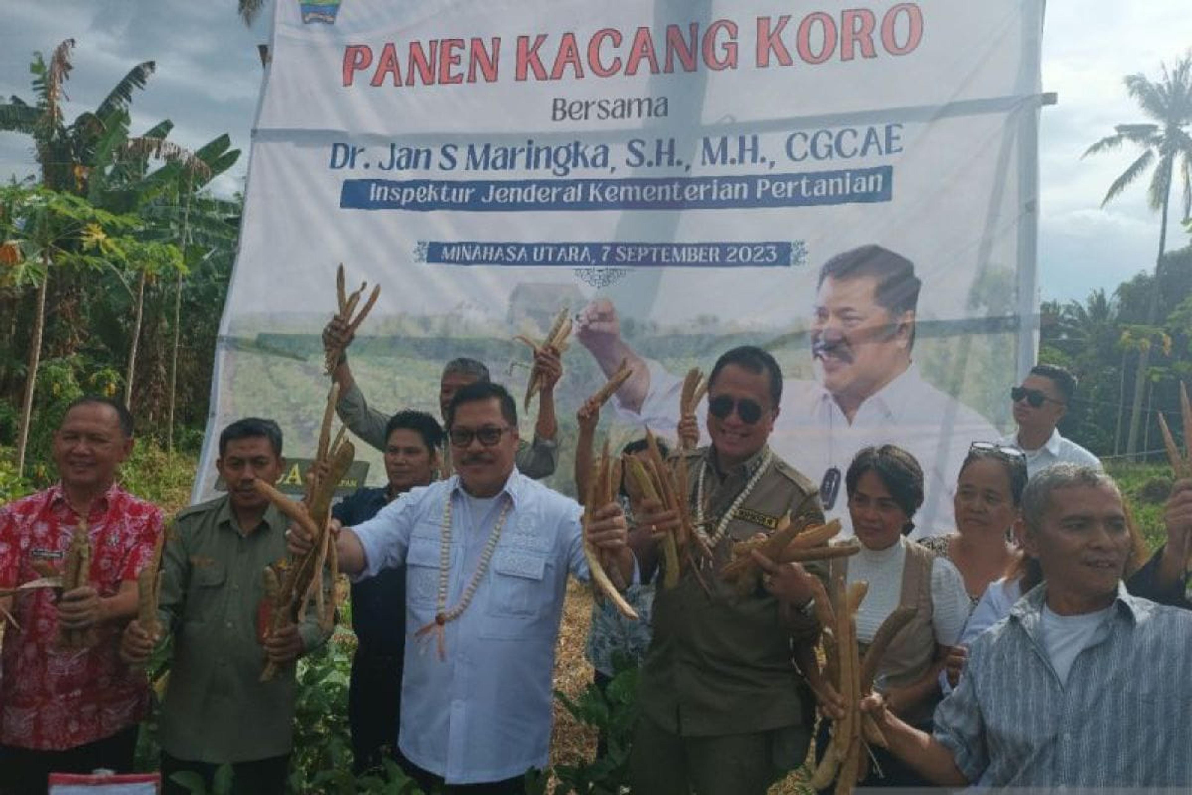 Kementerian Pertanian Perkenalkan Kacang Koro Sebagai Substitusi Kedelai