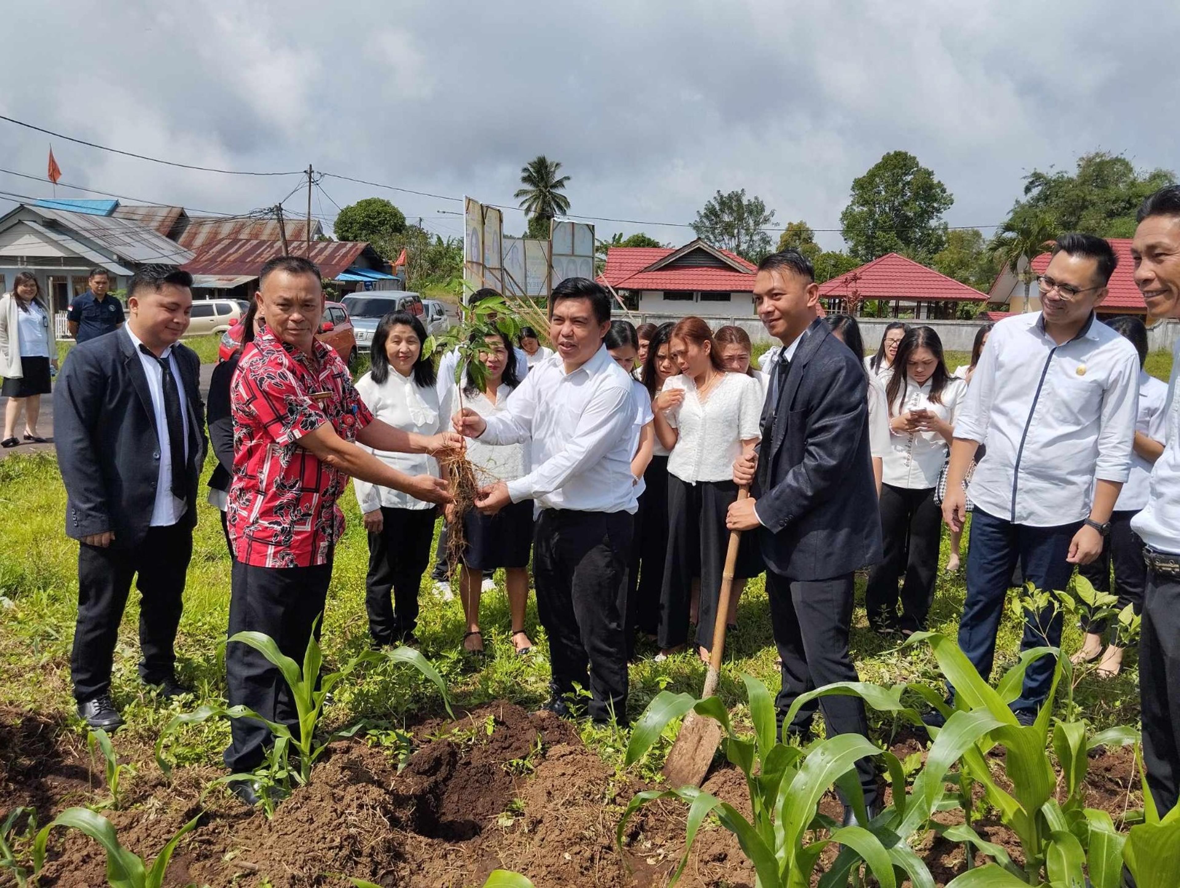 Pasca dilantik, Anggota KPPS Lakukan Penanaman Bibit Pohon