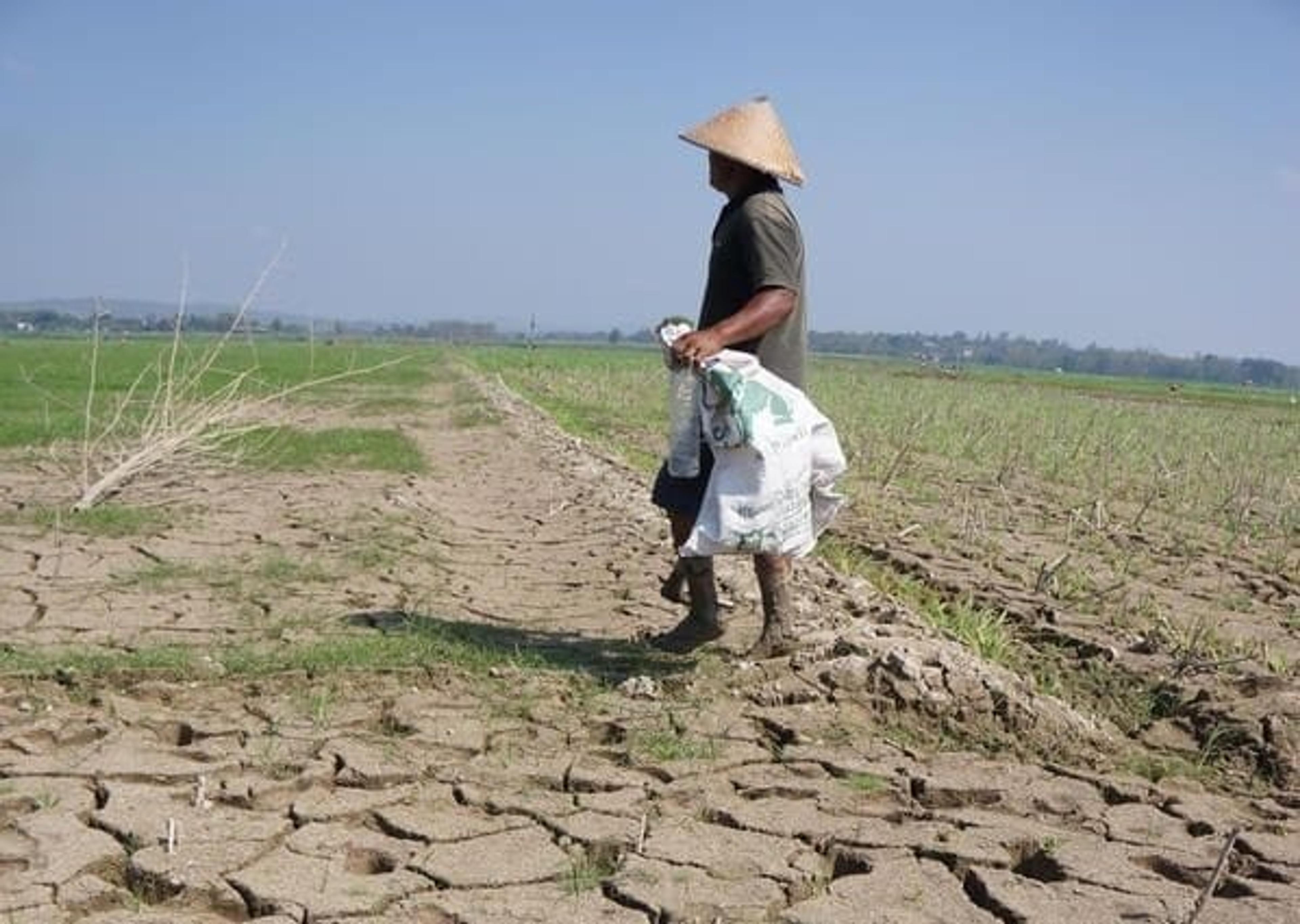 Kemarau di Sulut Terlambat 2 Bulan