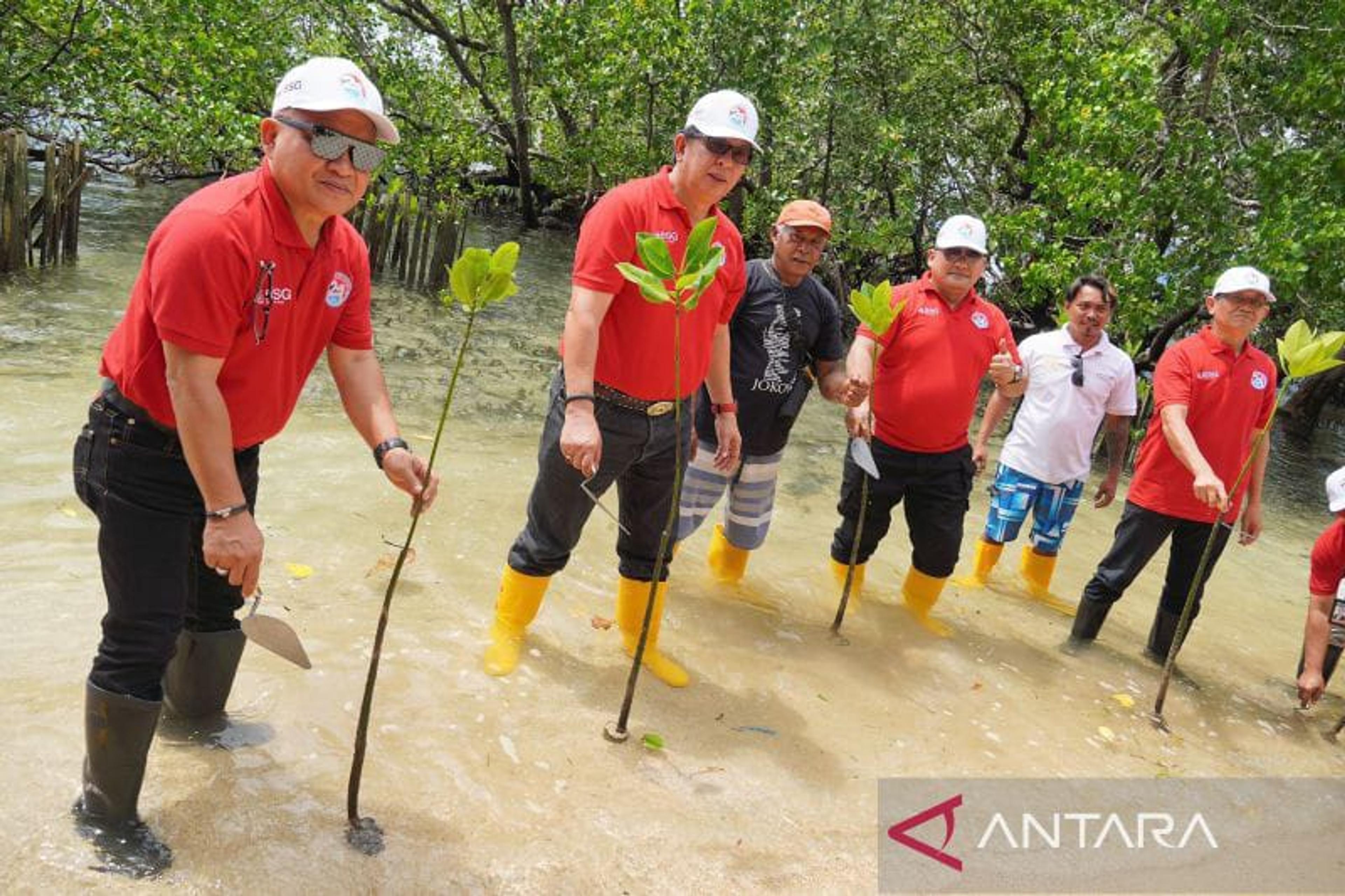PPATK dan BSG Tanam Mangrove dan Lepas Penyu di Pulau Bunaken