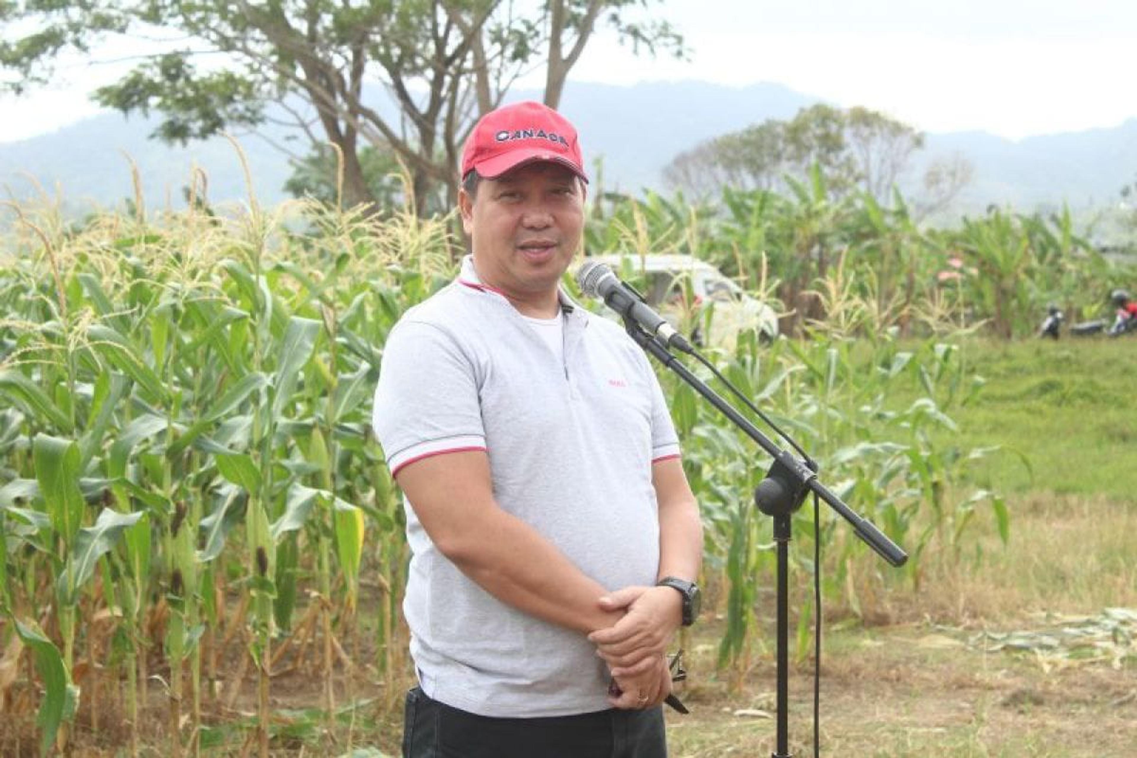 Panen Jagung di Minahasa, Wagub Steven: Sungguh Daerah Kita Diberkati Tuhan