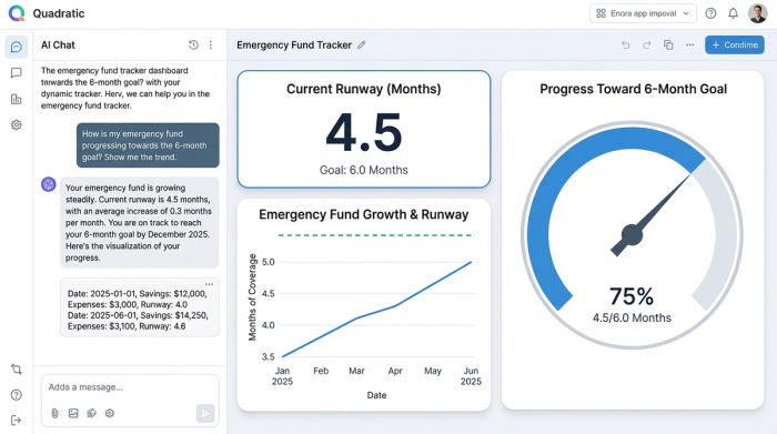 A clean financial dashboard with four charts visualizing an emergency fund. Key charts show the current runway in months, its historical trend, and a breakdown of monthly expenses.