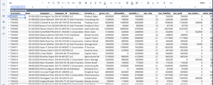 Data imported into Quadratic tax spreadsheet interface