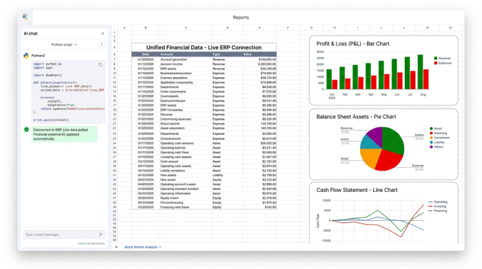 A central data table of financial figures surrounded by three charts, visualizing different aspects of the data such as a Profit & Loss statement and a Balance Sheet.