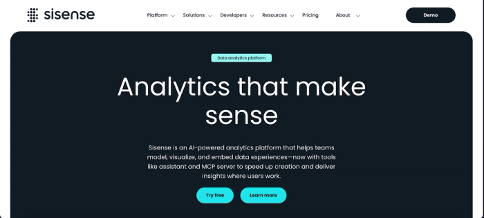 Sisense: top bi tool