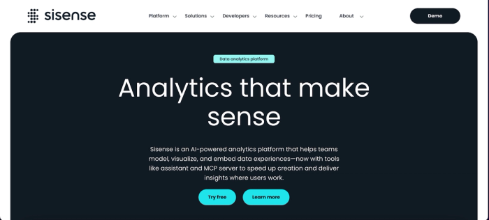 Sisense: top bi tool