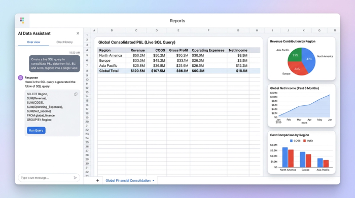 A central data table showing a consolidated P&L, surrounded by three charts: a revenue-by-region pie chart, a global net income line chart, and a regional cost comparison bar chart.