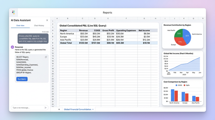 A central data table showing a consolidated P&L, surrounded by three charts: a revenue-by-region pie chart, a global net income line chart, and a regional cost comparison bar chart.