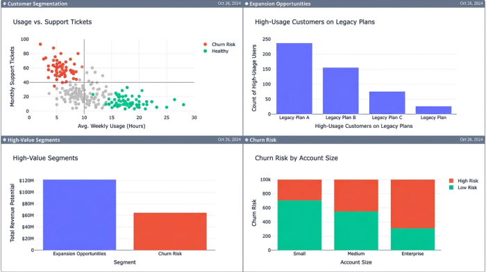A dashboard of four charts that segment customers. One chart highlights a "churn risk" group based on usage and support tickets. Another chart identifies "expansion opportunities" based on usage and pricing plan.