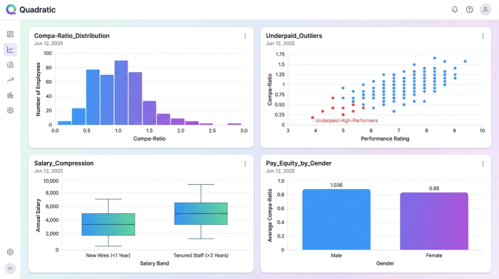 A dashboard displaying four charts: a salary distribution histogram, a scatter plot of outliers, a box plot showing salary compression between employee cohorts, and a bar chart for pay equity analysis.