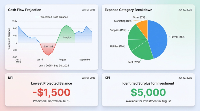 A clean financial dashboard with four charts. It includes a main line chart showing cash flow projection, and smaller charts or cards displaying key metrics like lowest projected balance and surplus capital available for investment.