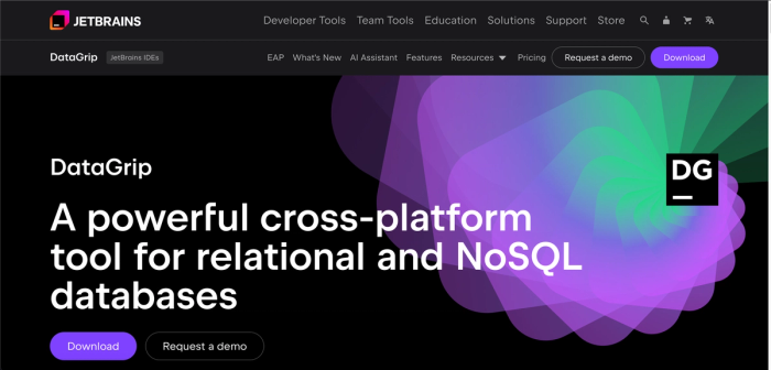 DataGrip database management tool.